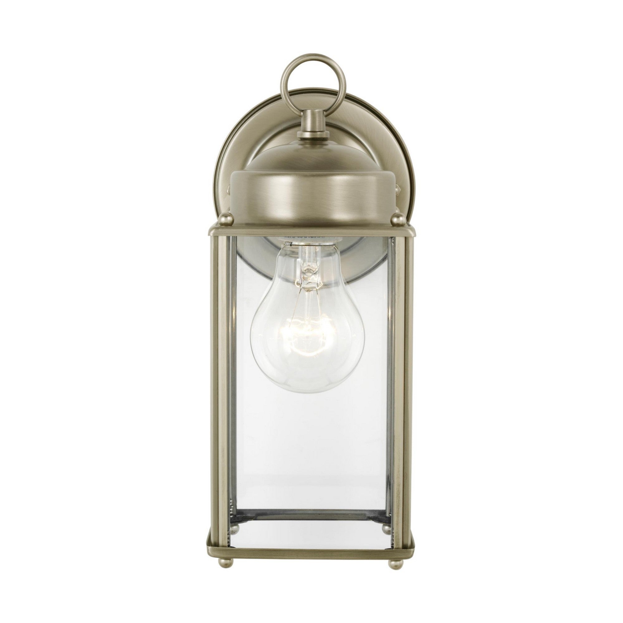 New Castle 10" Large Outdoor Wall Lantern, Antique Brushed Nickel Finish with Clear Glass - Bees Lighting
