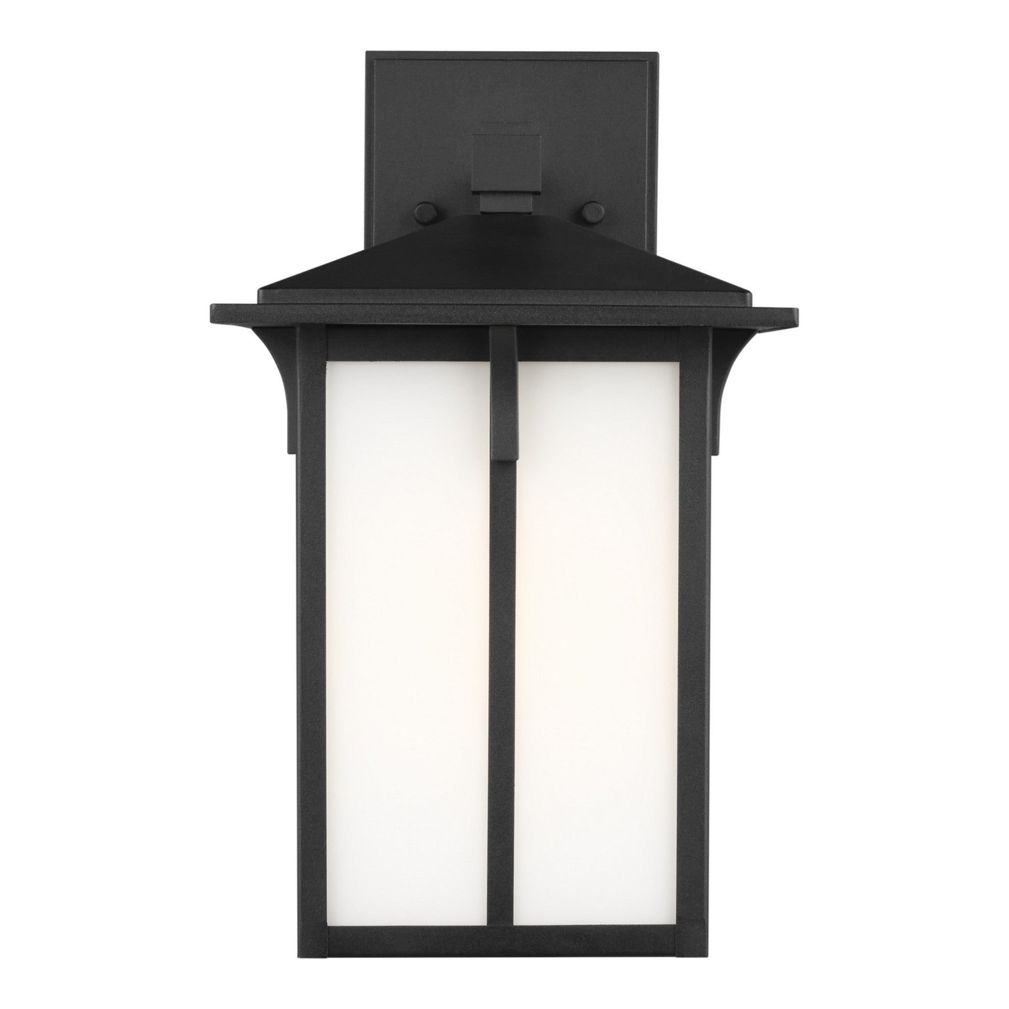 Tomek 14" Medium Outdoor Wall Lantern, Black Finish - Bees Lighting