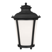 Cape May 20" X-Large Outdoor Wall Lantern, Black Finish - Bees Lighting
