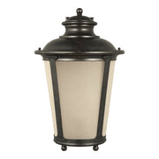 Cape May 20" X-Large Outdoor Wall Lantern, Burled Iron Finish - Bees Lighting