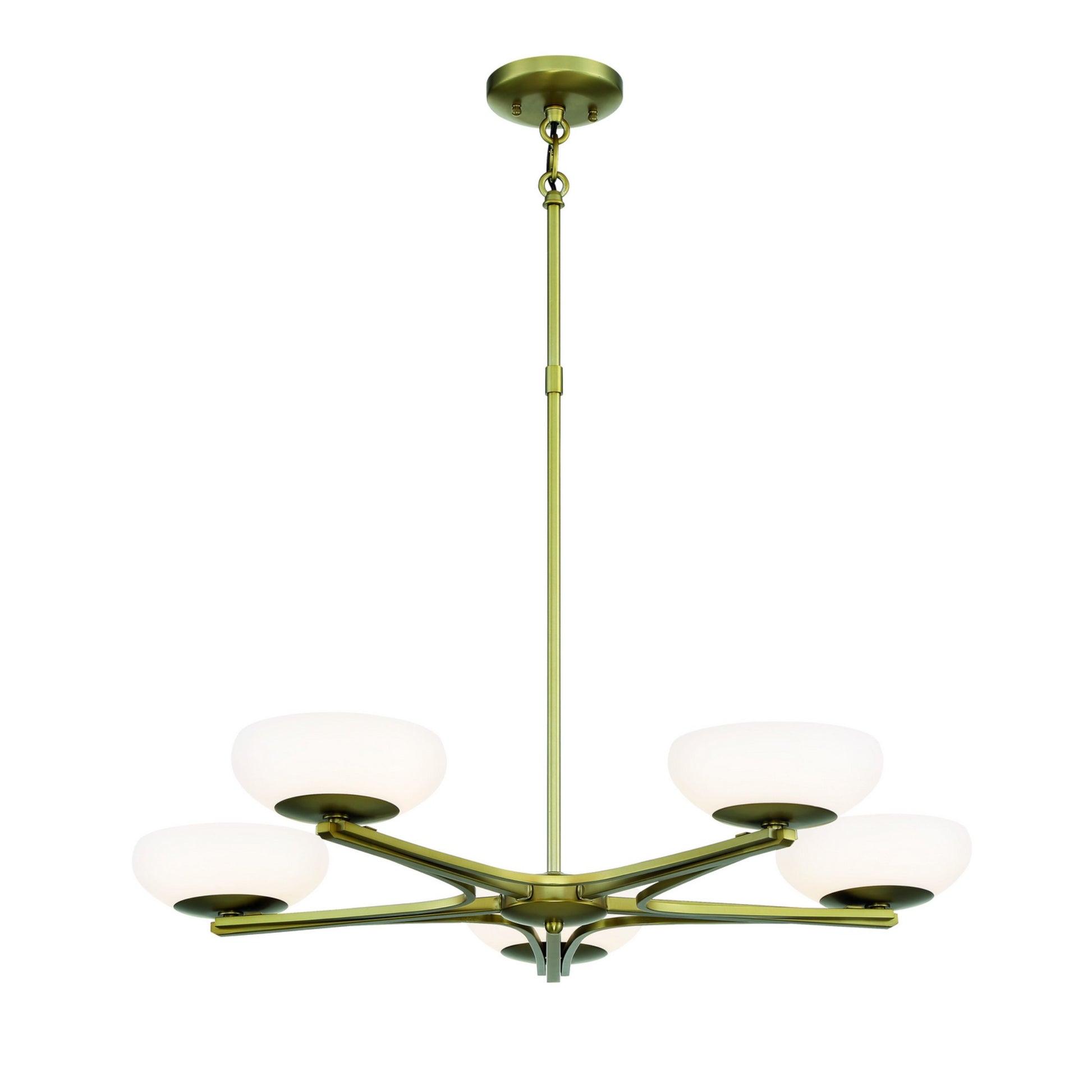 Scale Chandelier - Bees Lighting