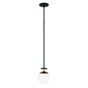 Alluria 6" Mini Pendant, Weathered Black & Autumn Gold Finish - Bees Lighting