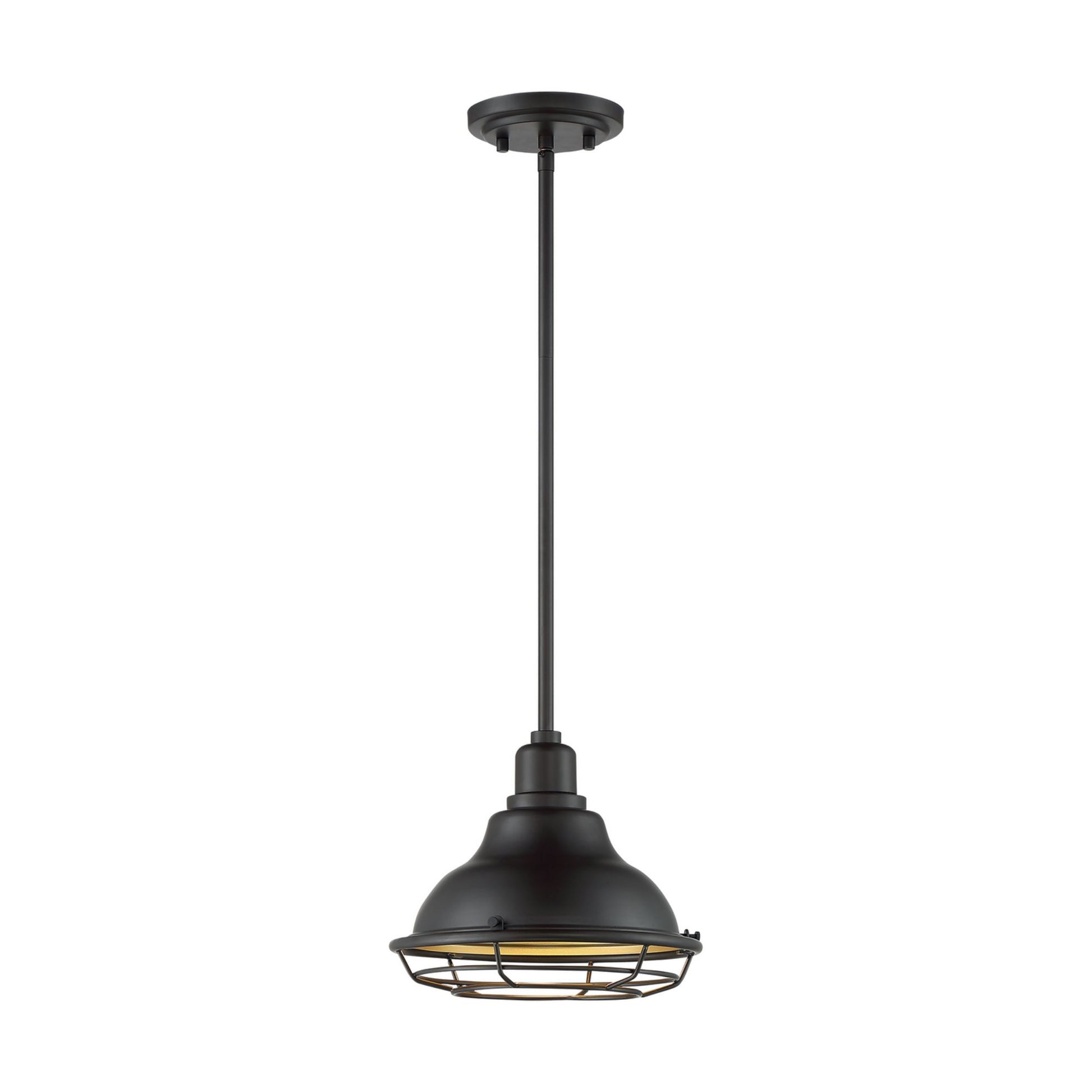 Newbridge 10" Pendant, Dark Bronze / Gold Finish - Bees Lighting