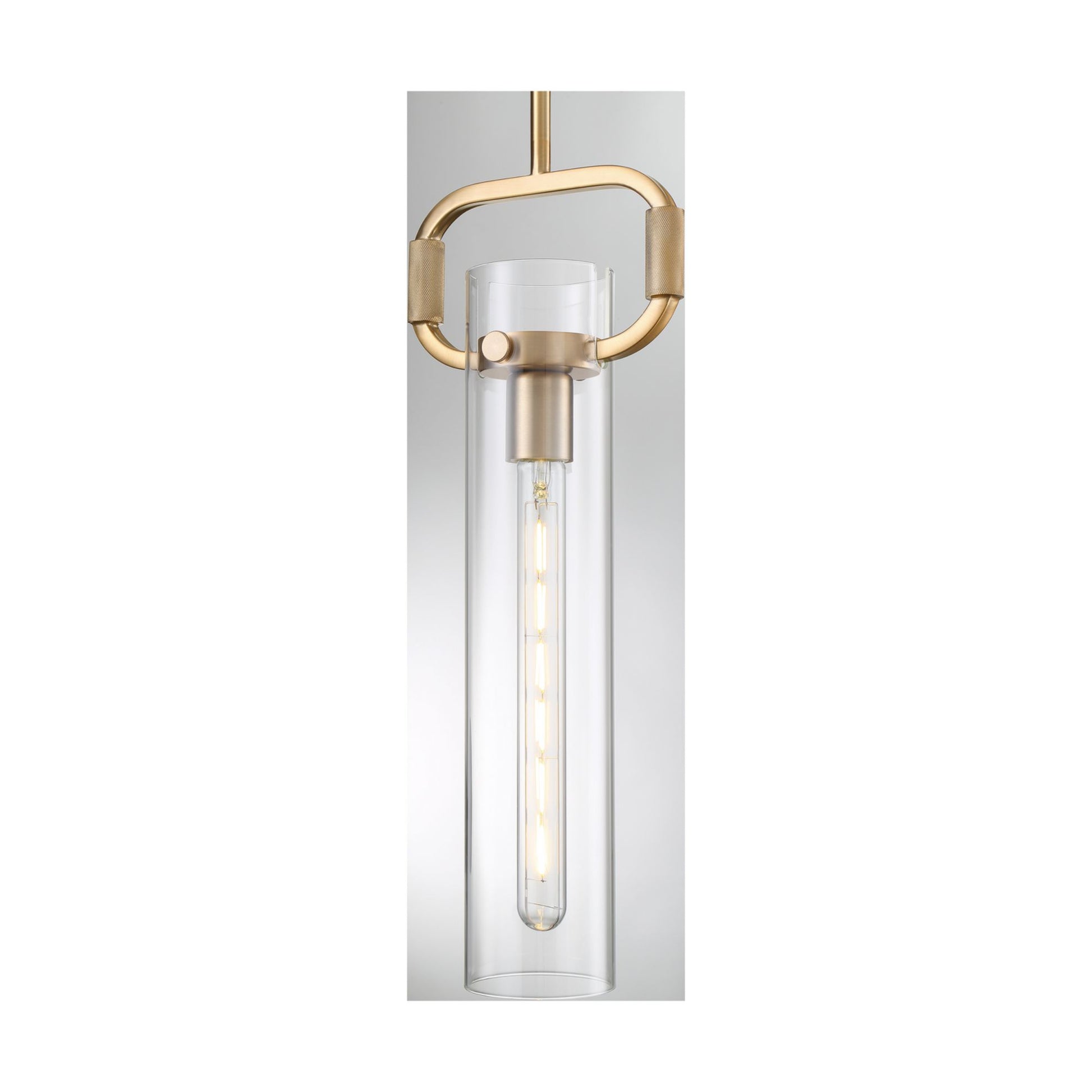 Teresa 20" Pendant, Burnished Brass Finish - Bees Lighting