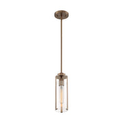 Marina 5 in. 1 Light Pendant Light, Clear Glass - Bees Lighting