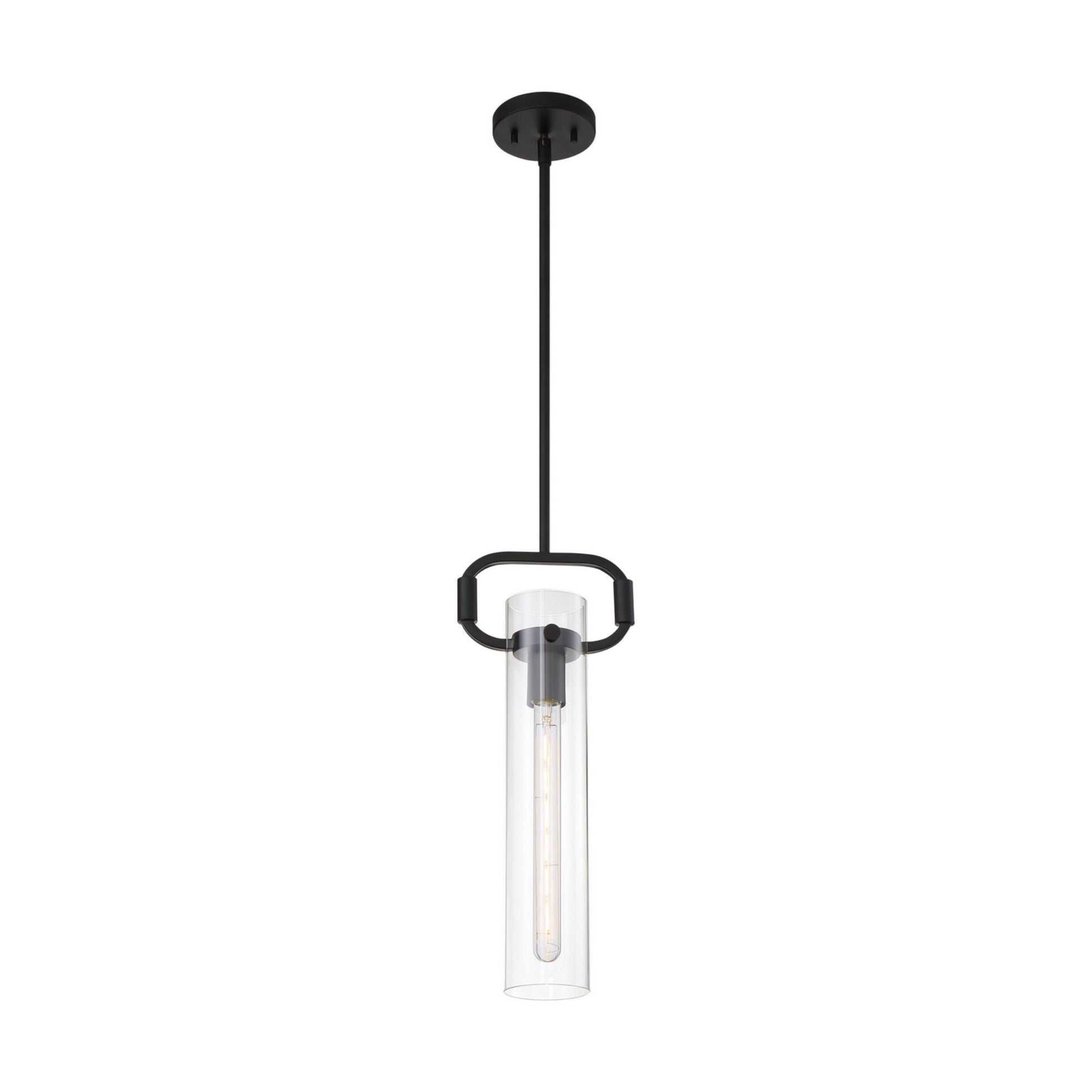 Teresa 20" Pendant, Matte Black Finish - Bees Lighting