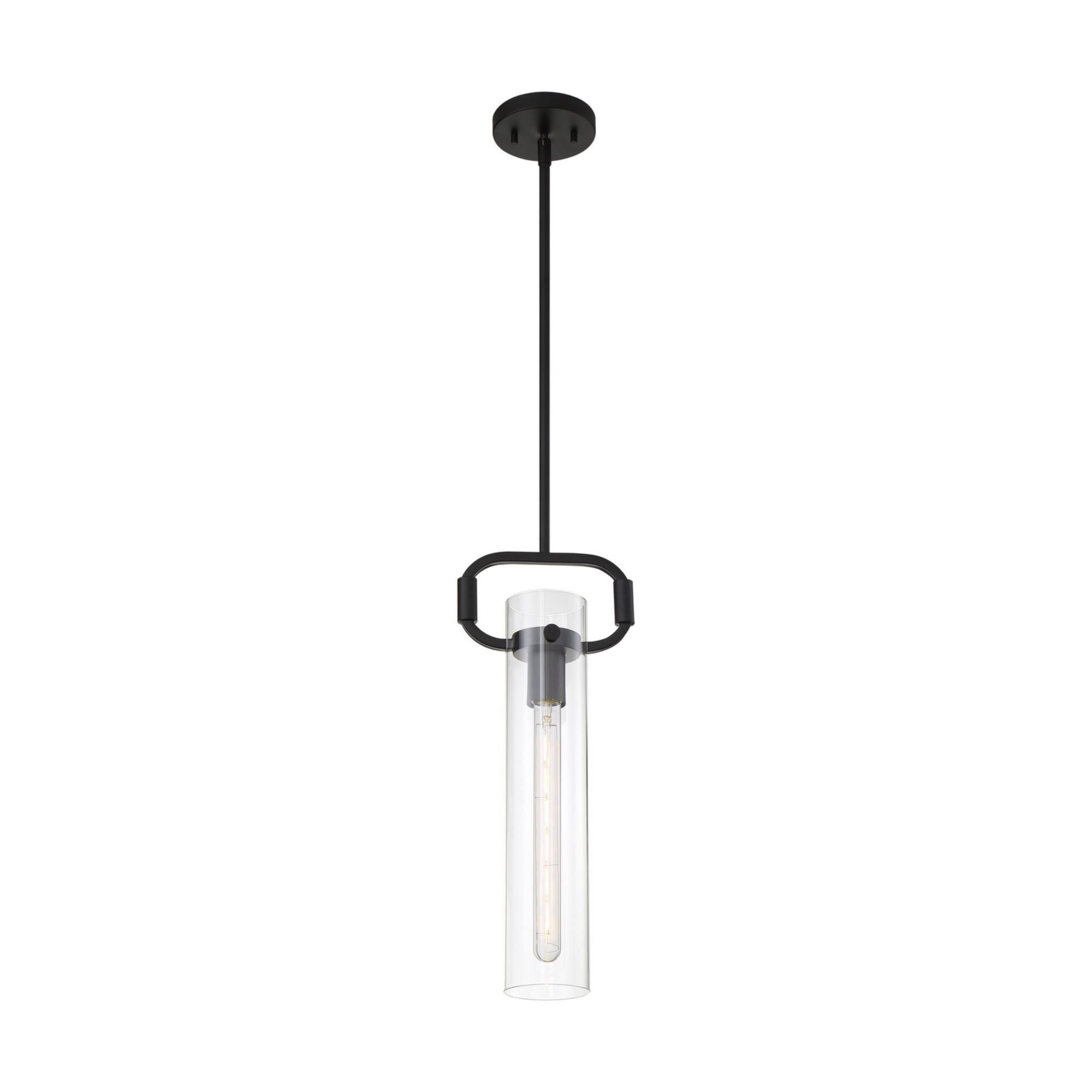 Teresa 20" Pendant, Matte Black Finish - Bees Lighting