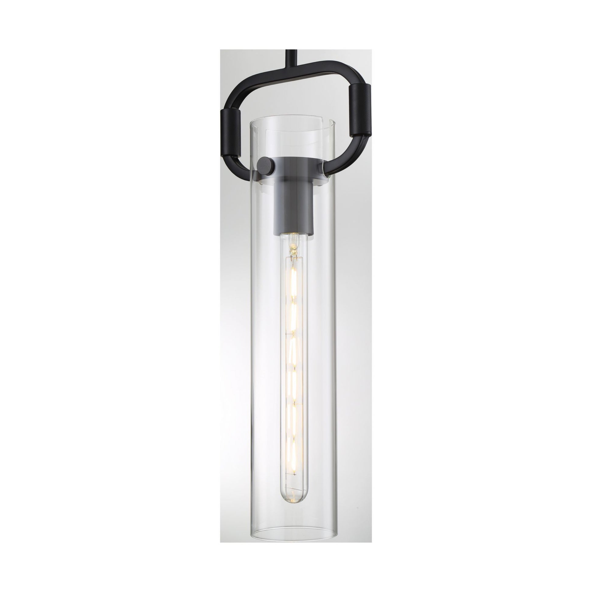Teresa 20" Pendant, Matte Black Finish - Bees Lighting