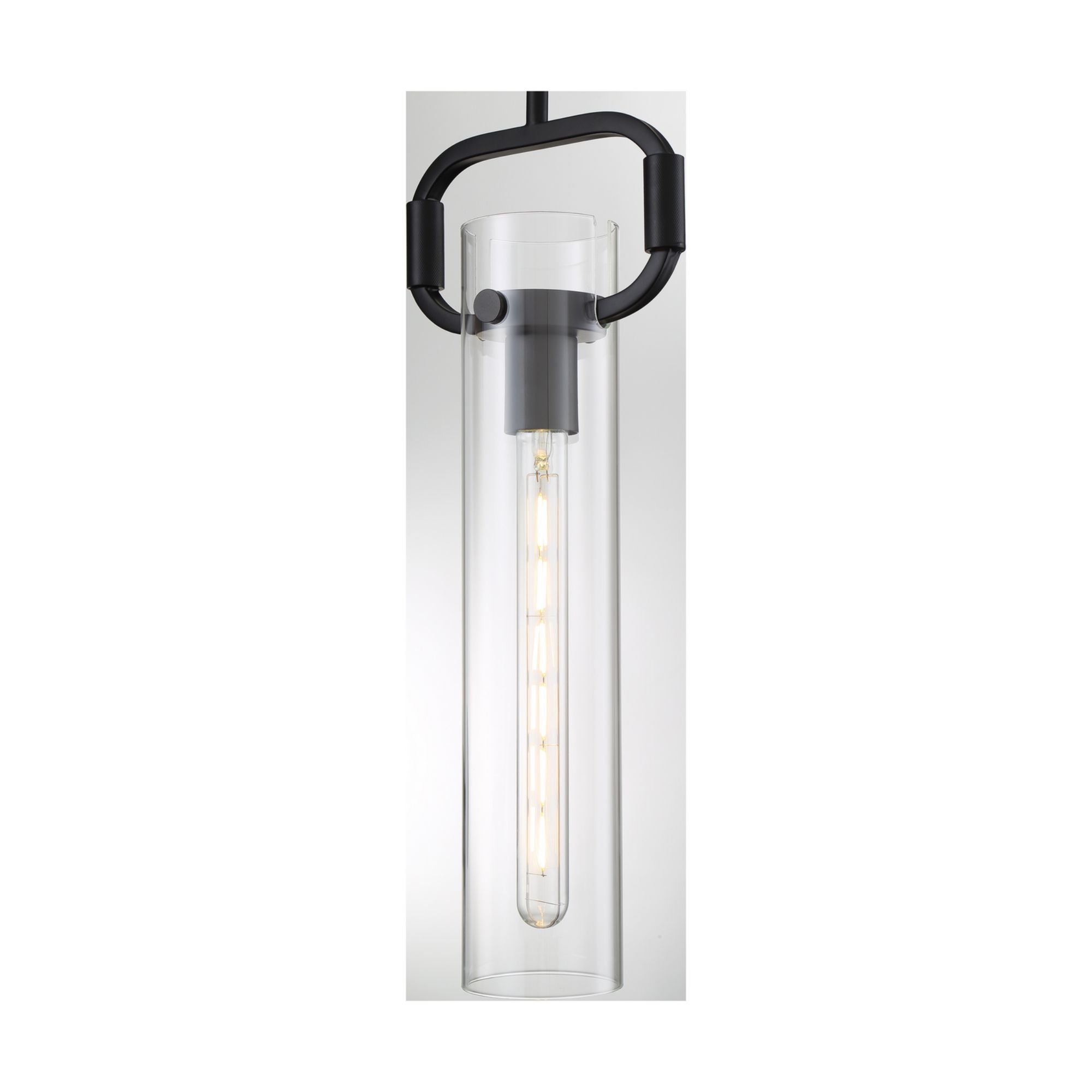 Teresa 20" Pendant, Matte Black Finish - Bees Lighting