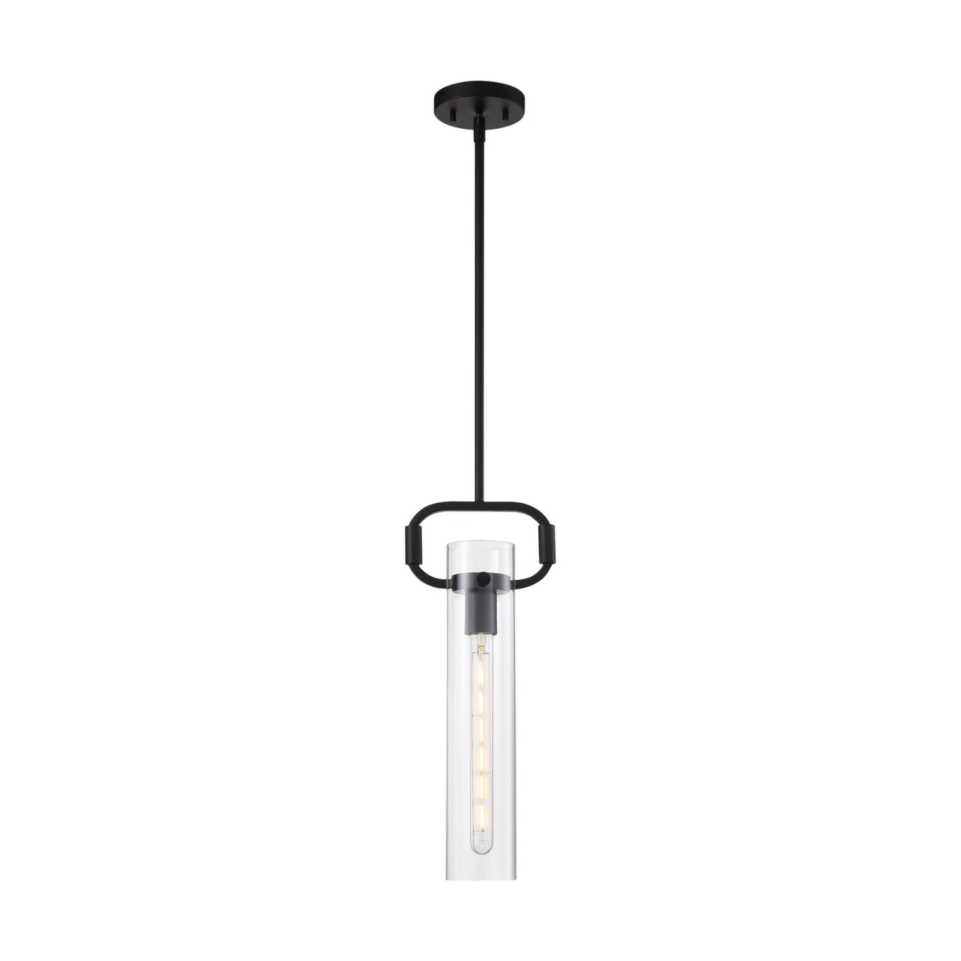 Teresa 20" Pendant, Matte Black Finish - Bees Lighting