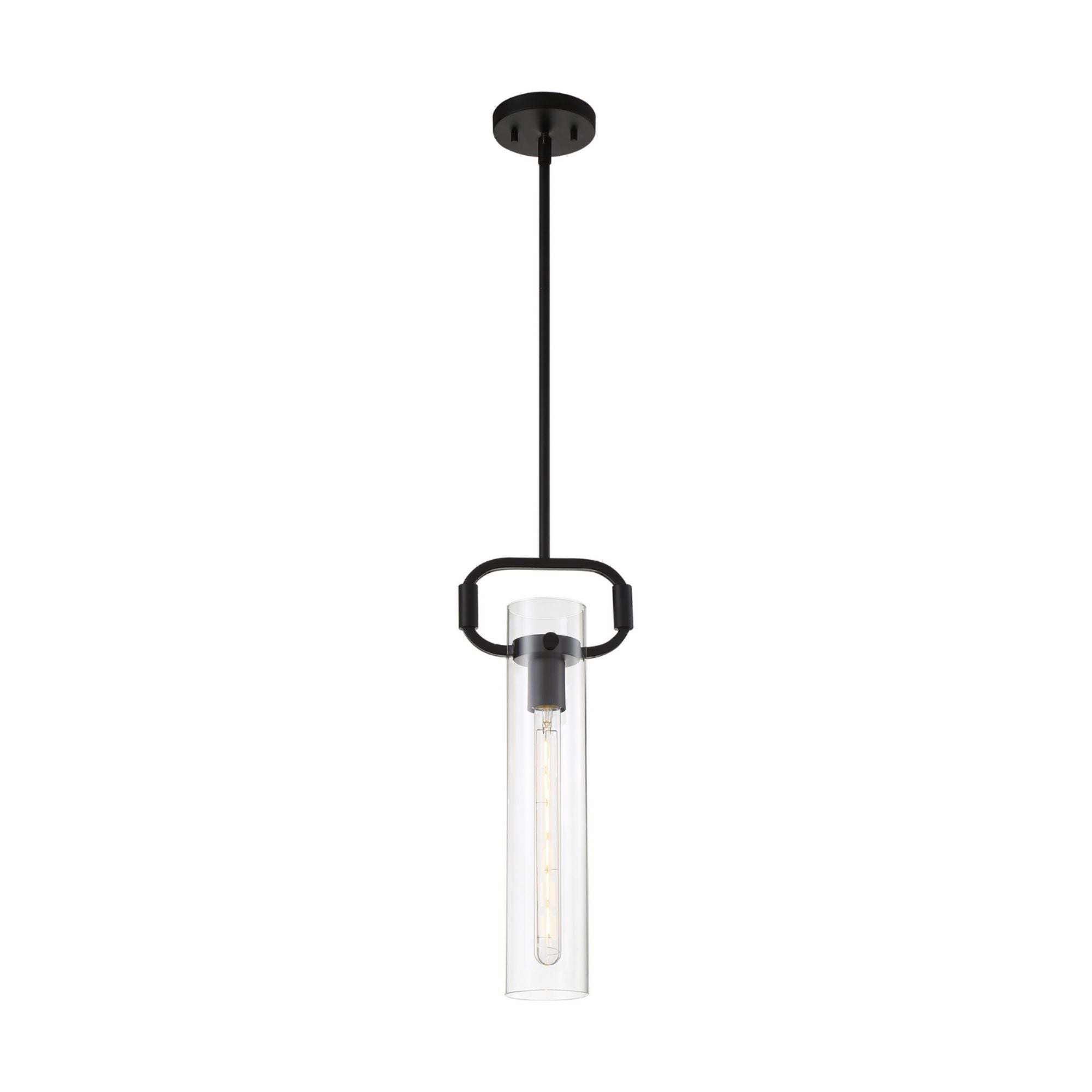 Teresa 20" Pendant, Matte Black Finish - Bees Lighting