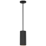 Pilson 11" LED Pendant, Matte Black Finish, Rod - Bees Lighting