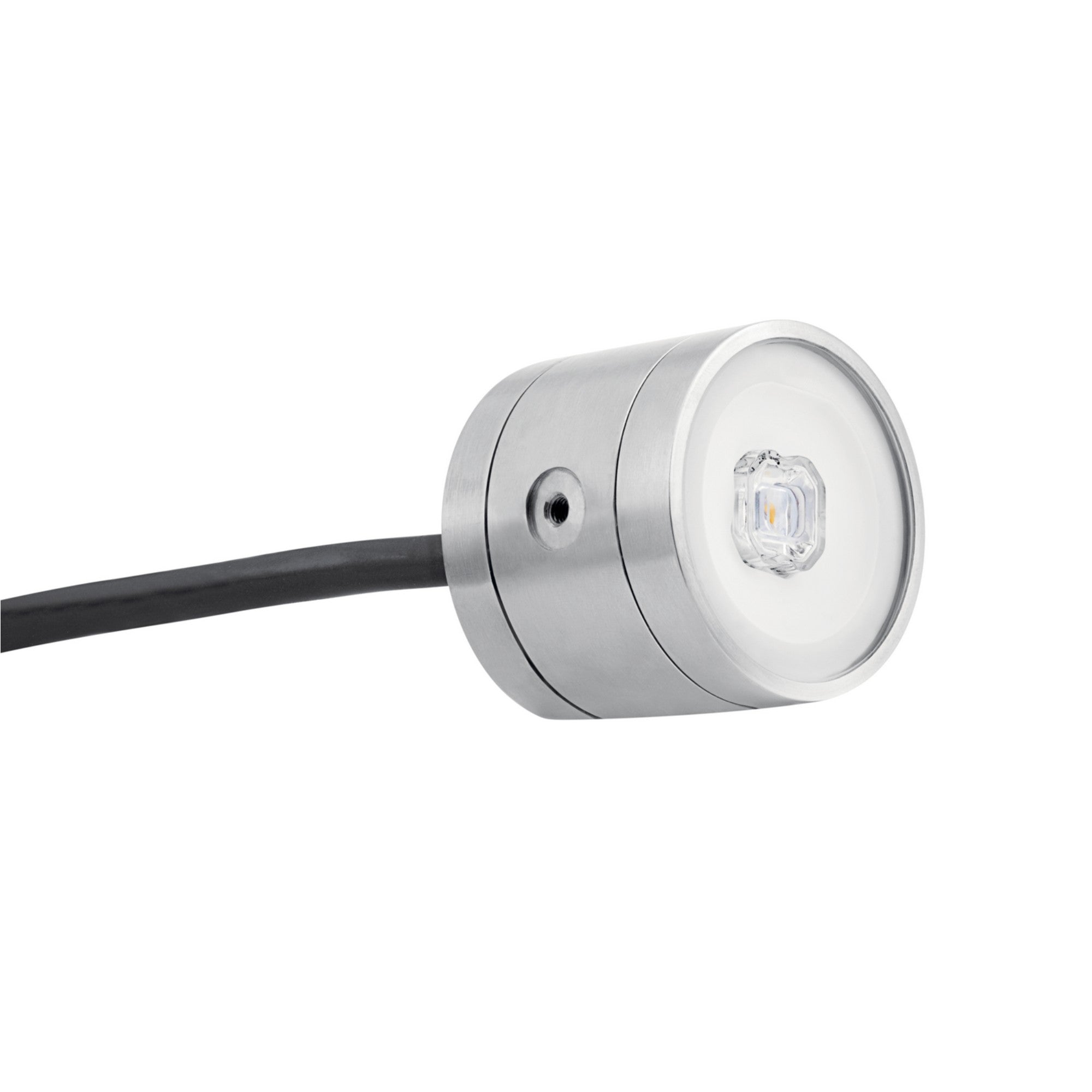 Landscape LED Water Light - Bees Lighting