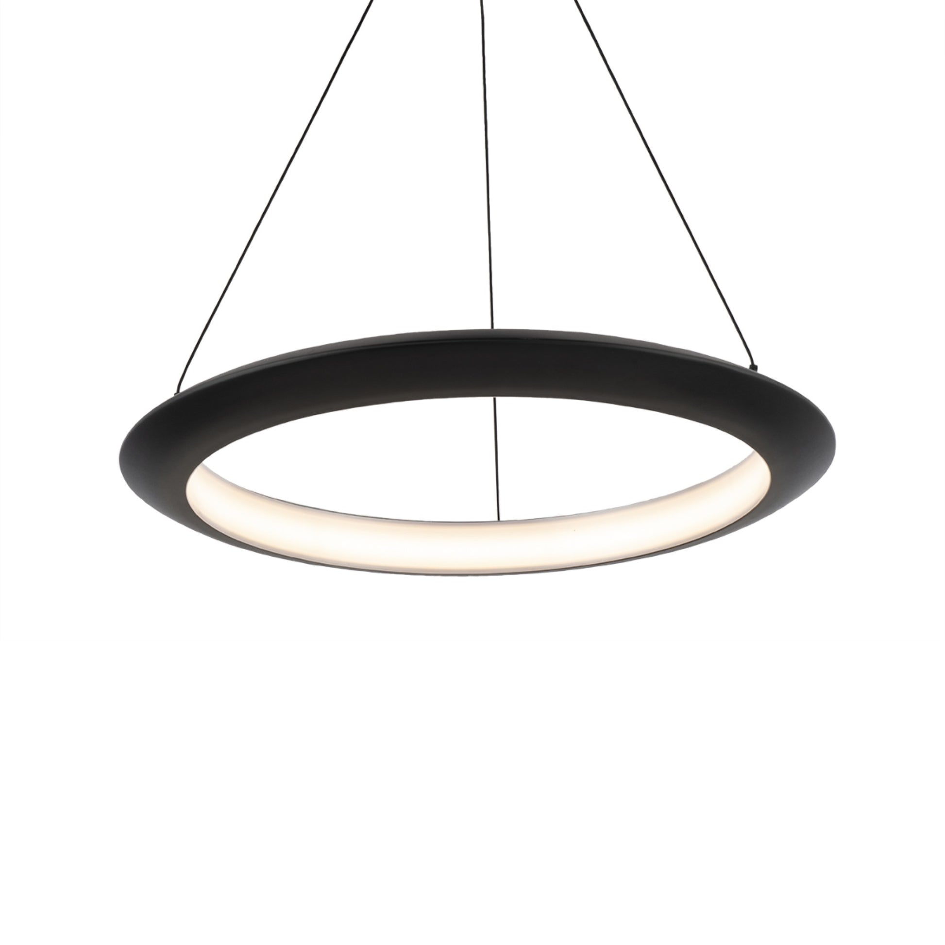 The Ring 24" LED Pendant, 2700K, Black Finish - Bees Lighting
