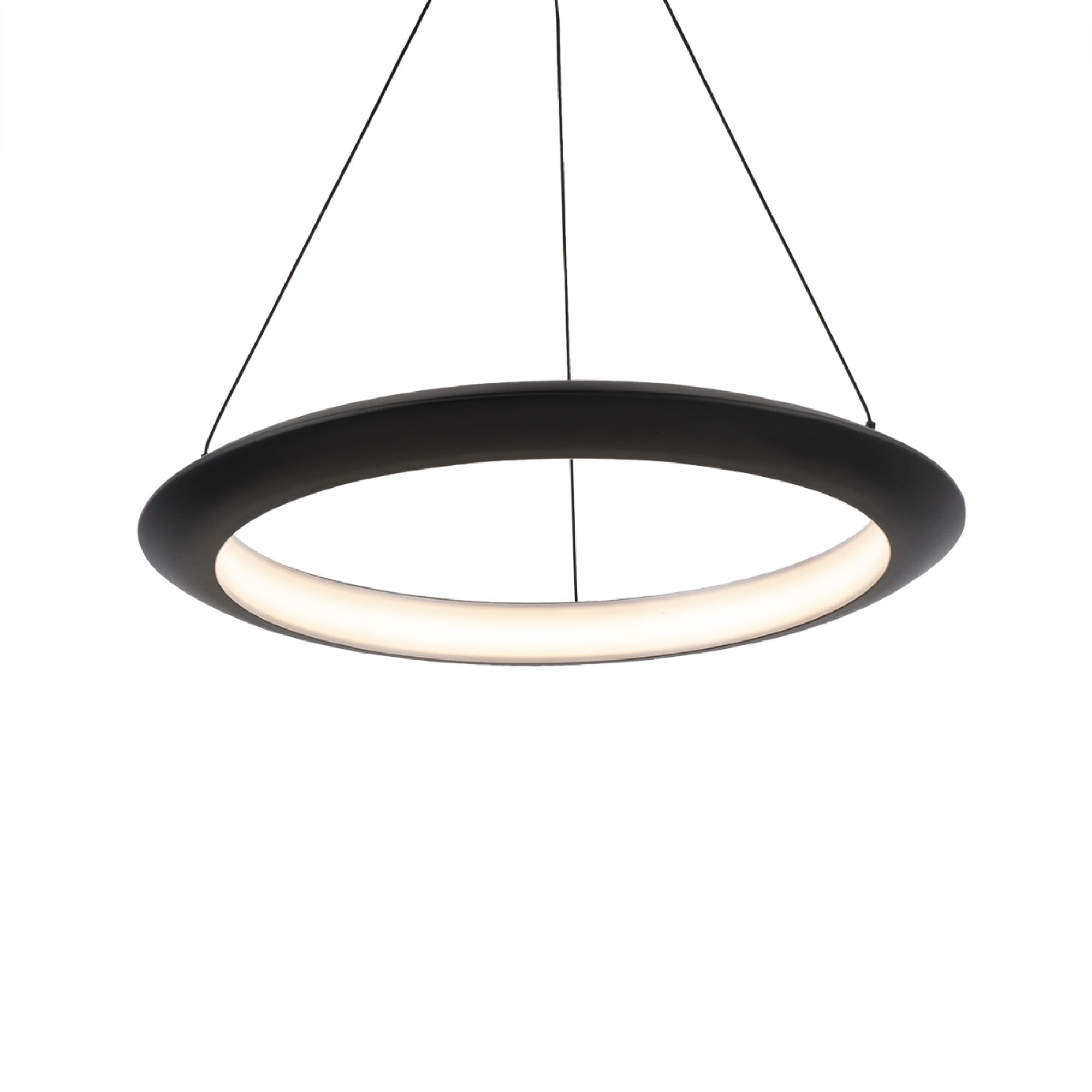 The Ring 24" LED Pendant, 2700K, Black Finish - Bees Lighting