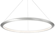 The Ring 48" LED Pendant, 2700K, Brushed Aluminum Finish - Bees Lighting