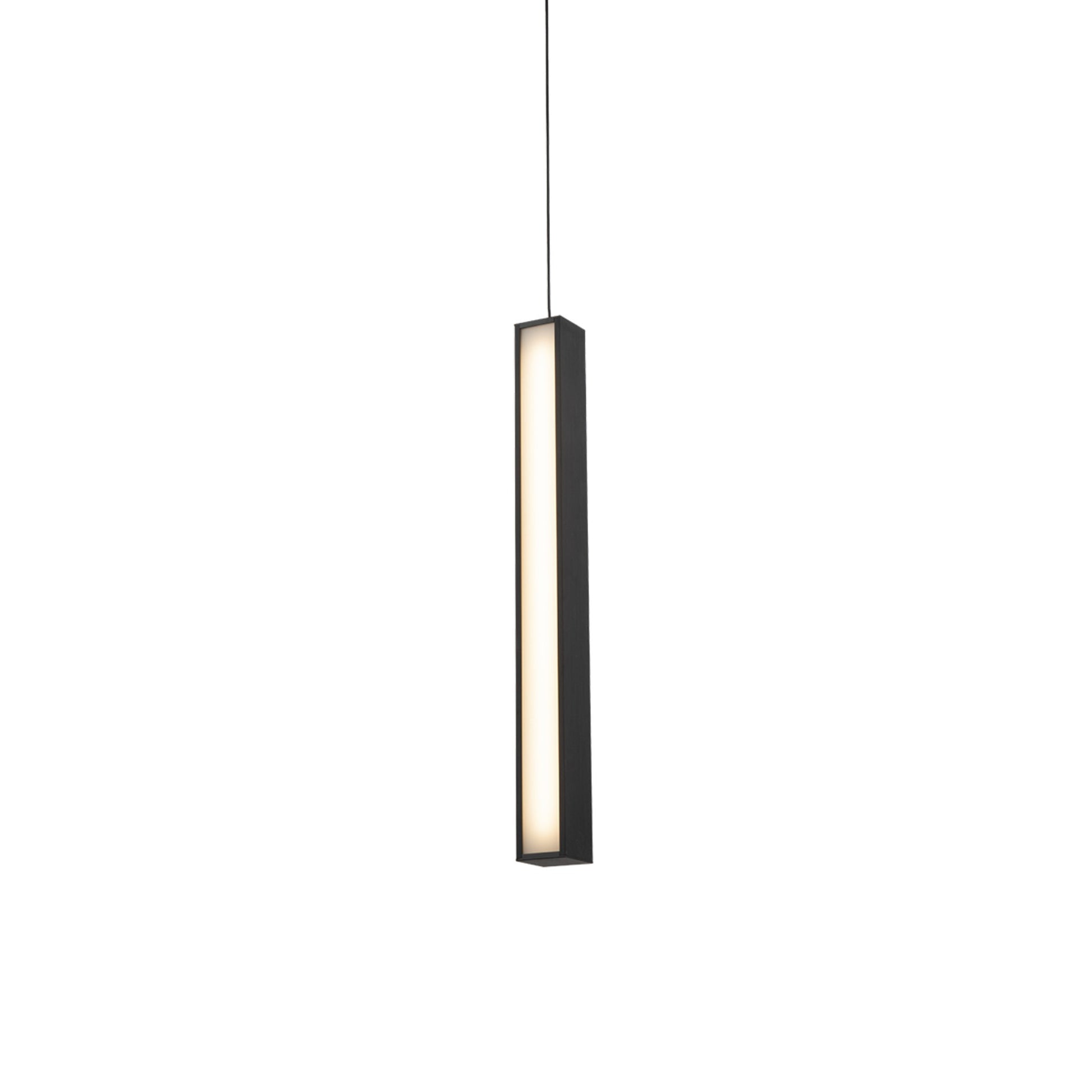 Chaos 20" LED Mini Pendant, Black Finish - Bees Lighting