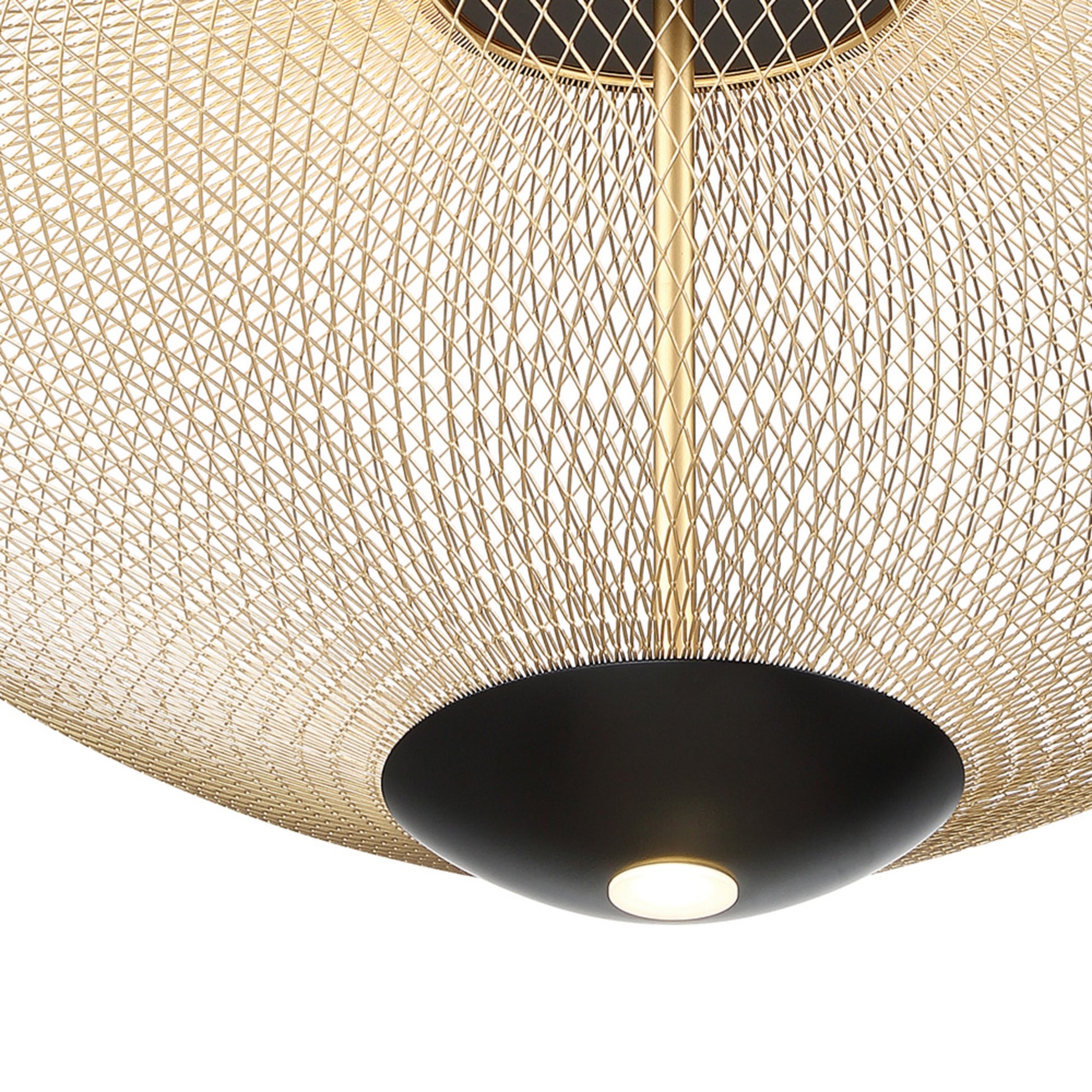 Park 22" LED Pendant, Black & Gold Finish - Bees Lighting