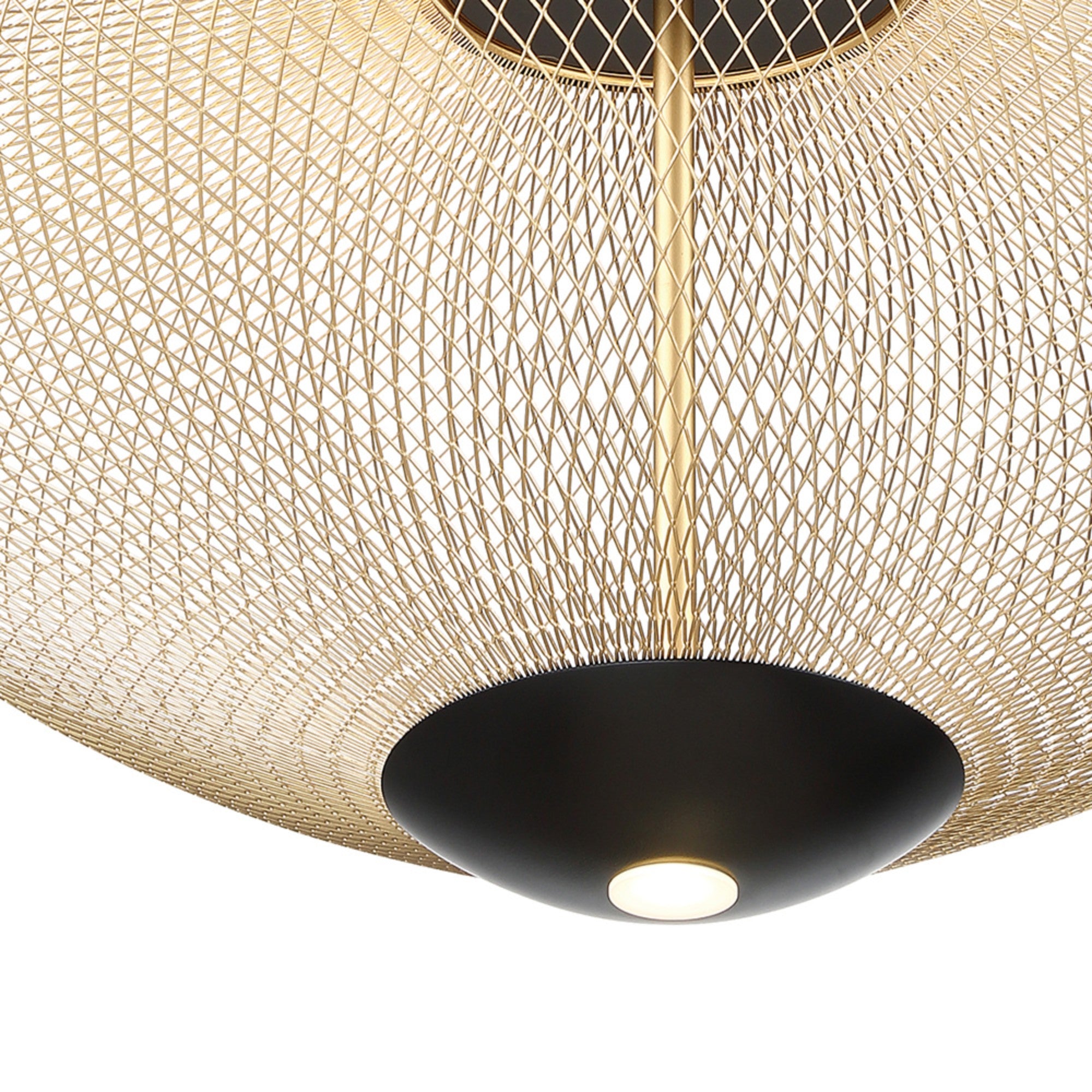 Park 22" LED Pendant, Black & Gold Finish - Bees Lighting
