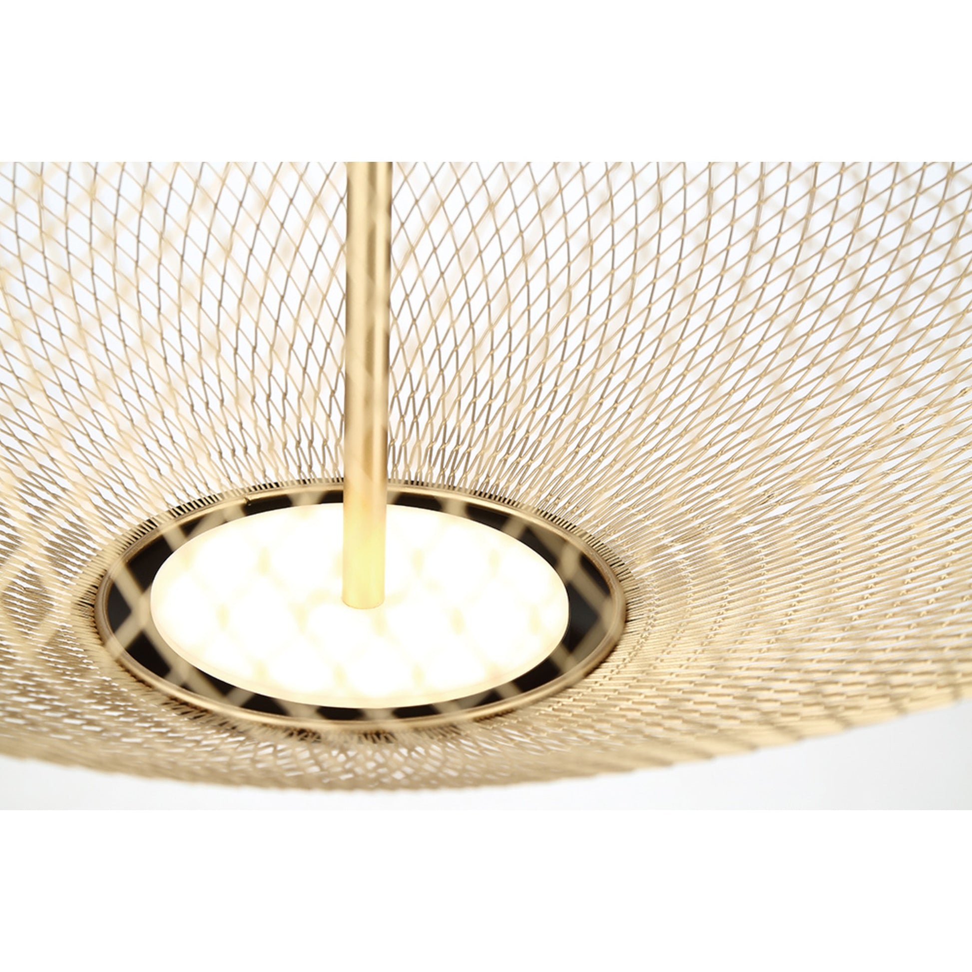 Park 22" LED Pendant, Black & Gold Finish - Bees Lighting
