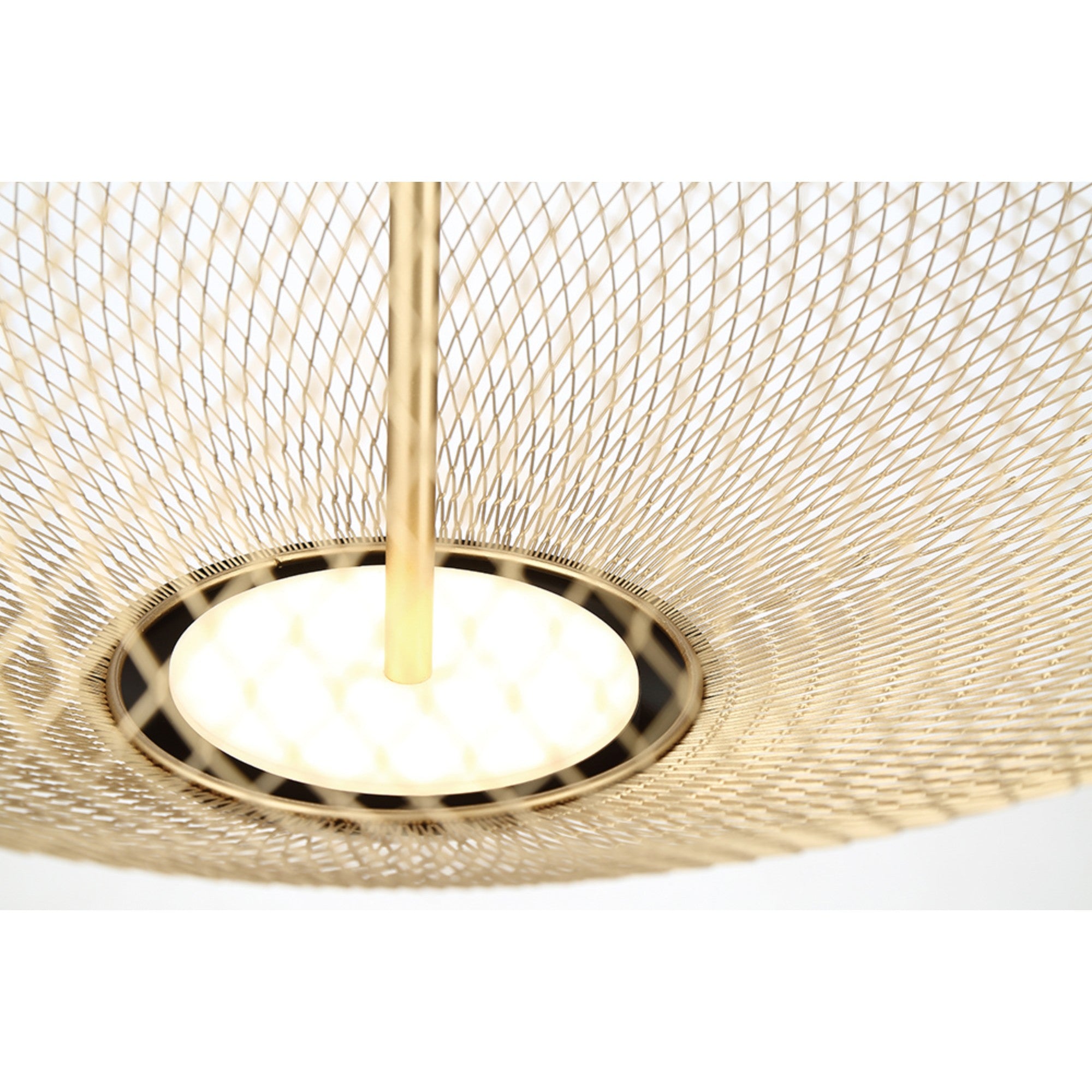 Park 22" LED Pendant, Black & Gold Finish - Bees Lighting