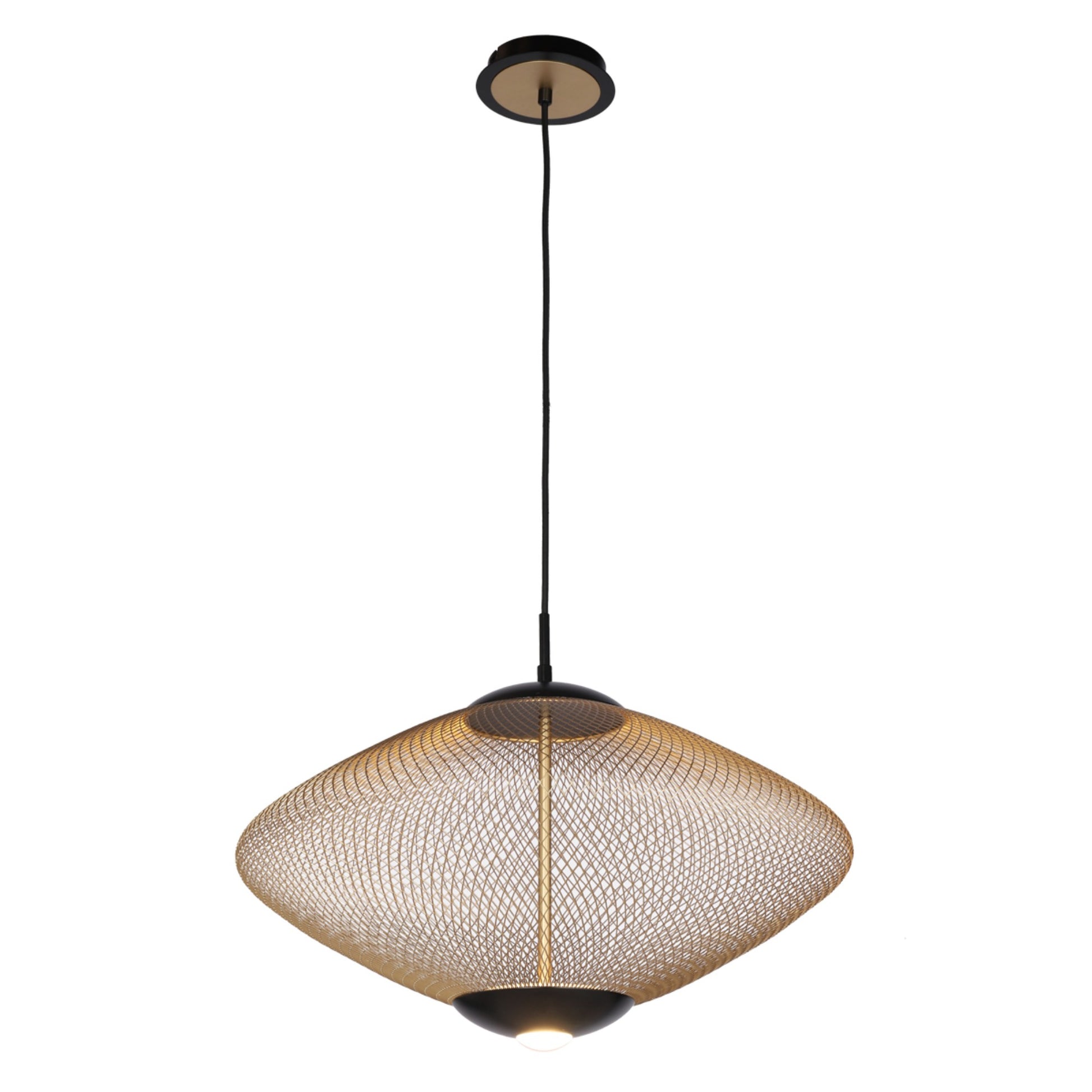 Park LED Pendant Light Black finish - Bees Lighting