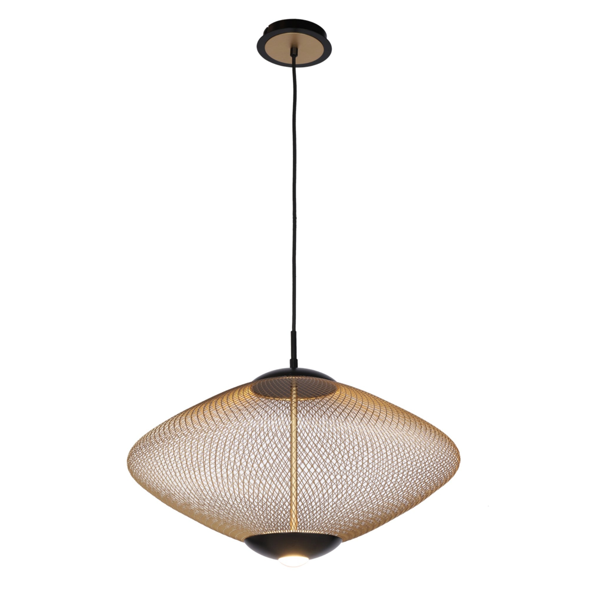 Park LED Pendant Light Black finish - Bees Lighting