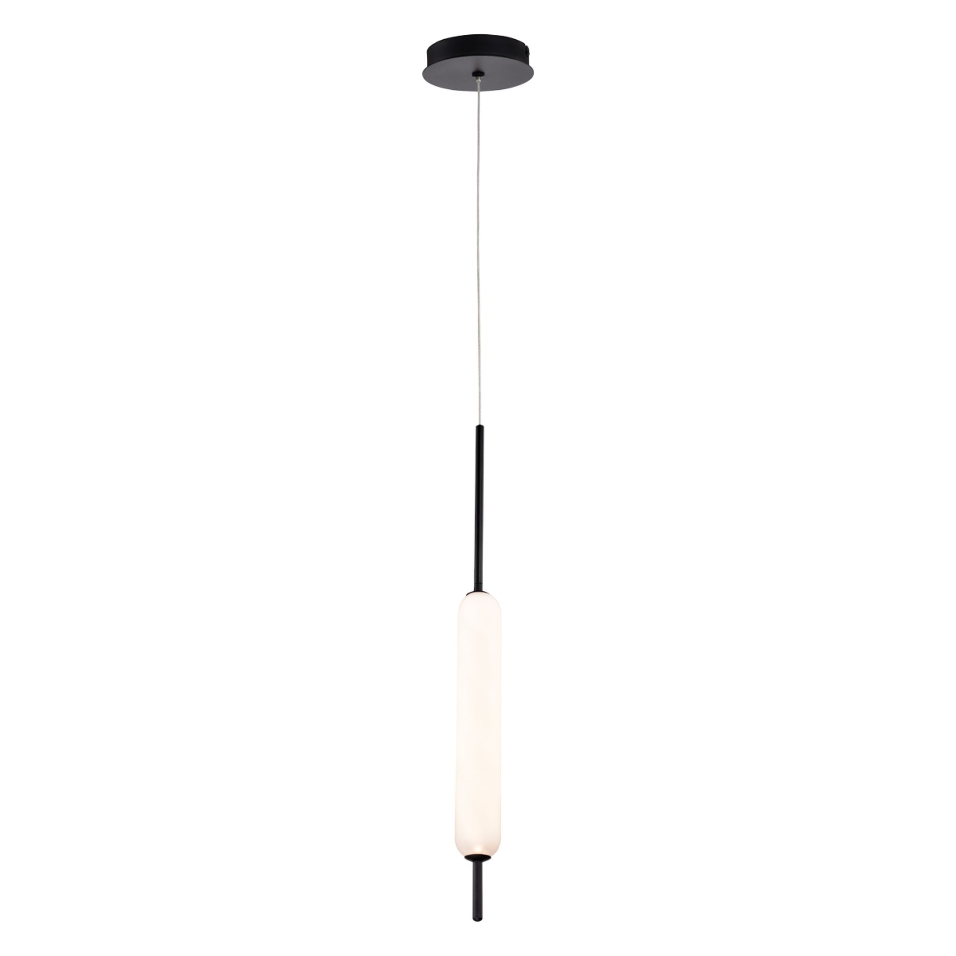 Cumberland 22" LED Pendant, Black Finish - Bees Lighting