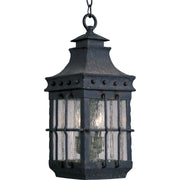 Nantucket 19" 3-Light Outdoor Hanging Lantern, Country Forge Finish - Bees Lighting