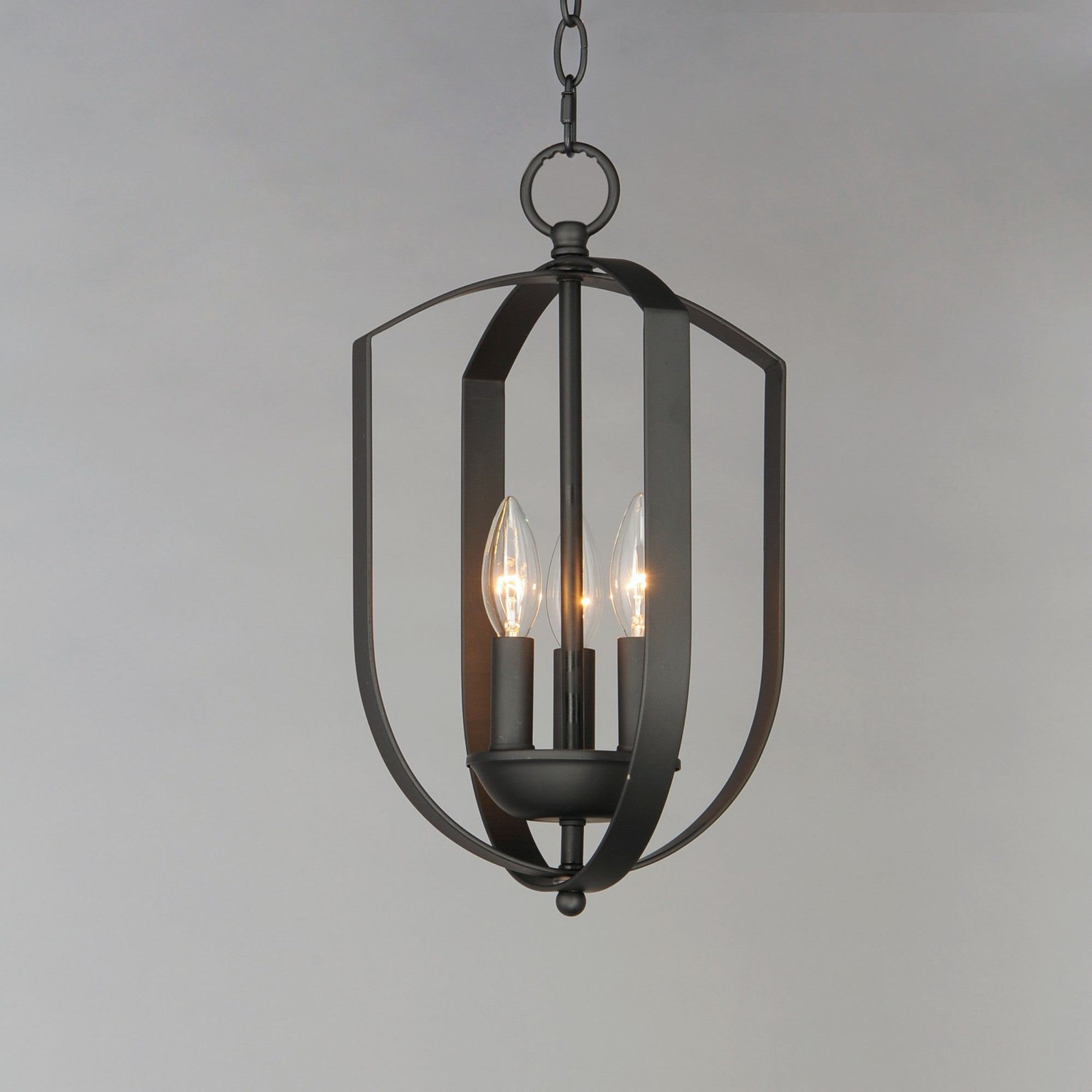 Provident 16" 3-Light Chandelier, Black Finish