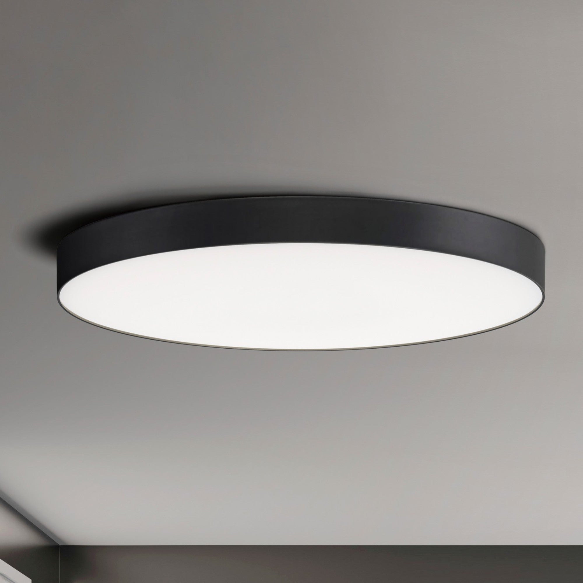 Trim 16" Disk LED Flush Mount, Black finish - Bees Lighting