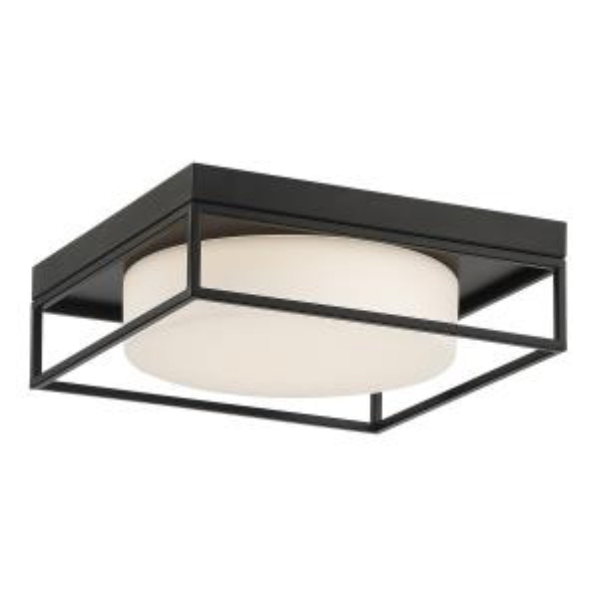 Rover 12" LED Flush Mount, Black Finish - Bees Lighting