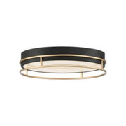 Grafice 18" LED Flush Mount, Black & Gold Finish - Bees Lighting