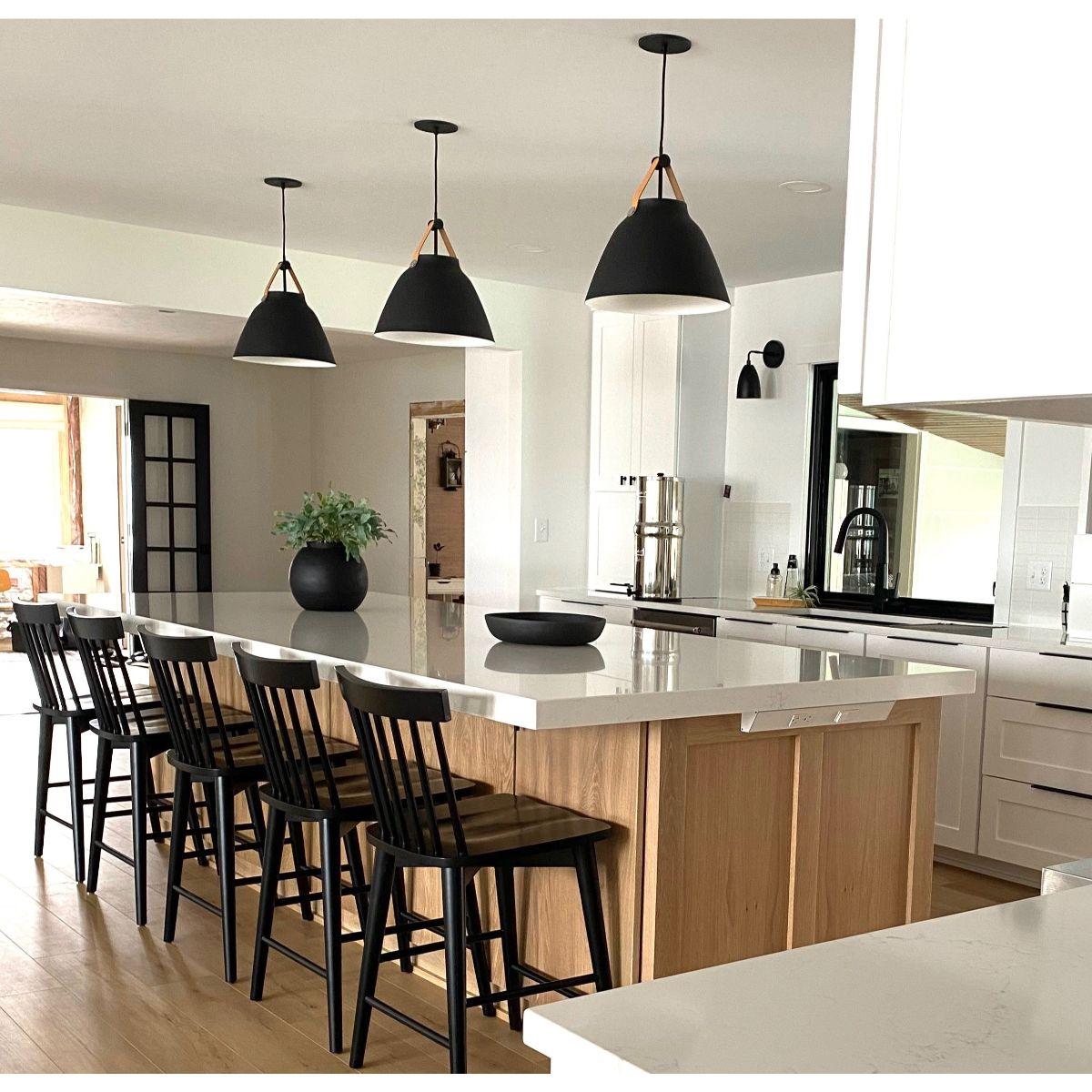 Nordic 20 in. Pendant Light Black Finish - Bees Lighting