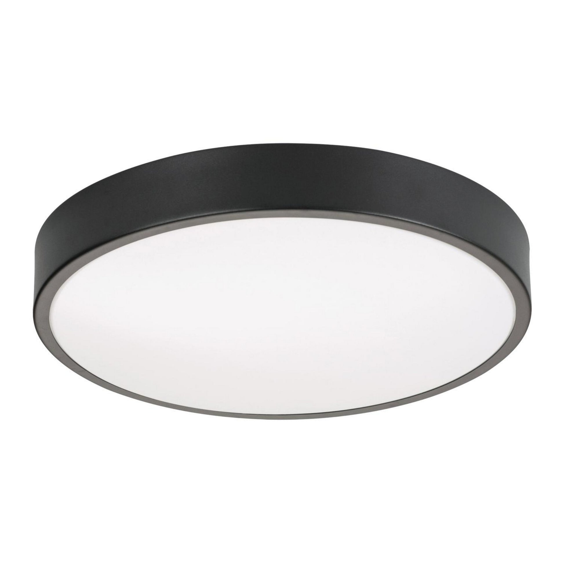 Octavia 19" LED Flush Mount, Black Finish, Battery Backup - Bees Lighting