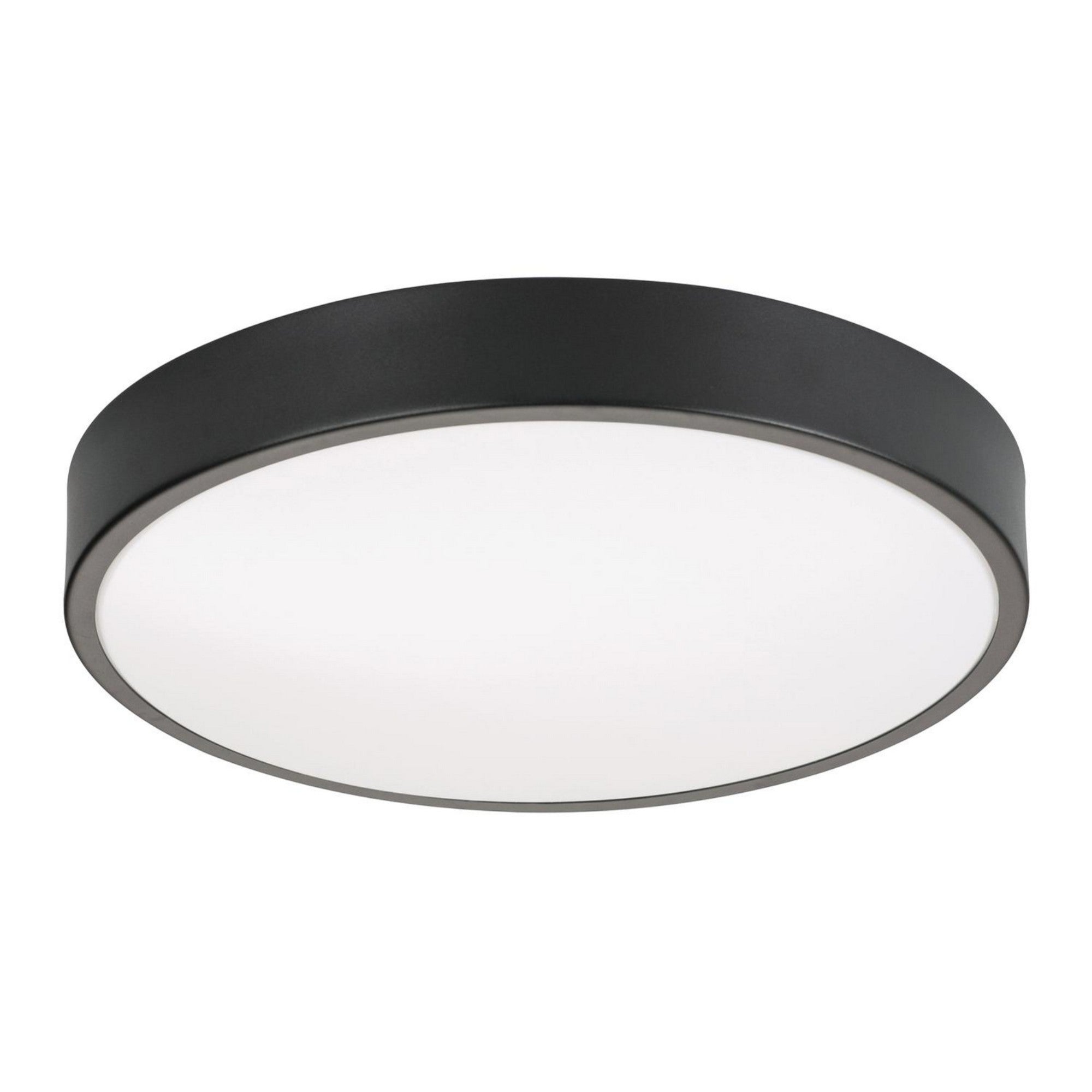 Octavia 19" LED Flush Mount, Black Finish, Battery Backup - Bees Lighting