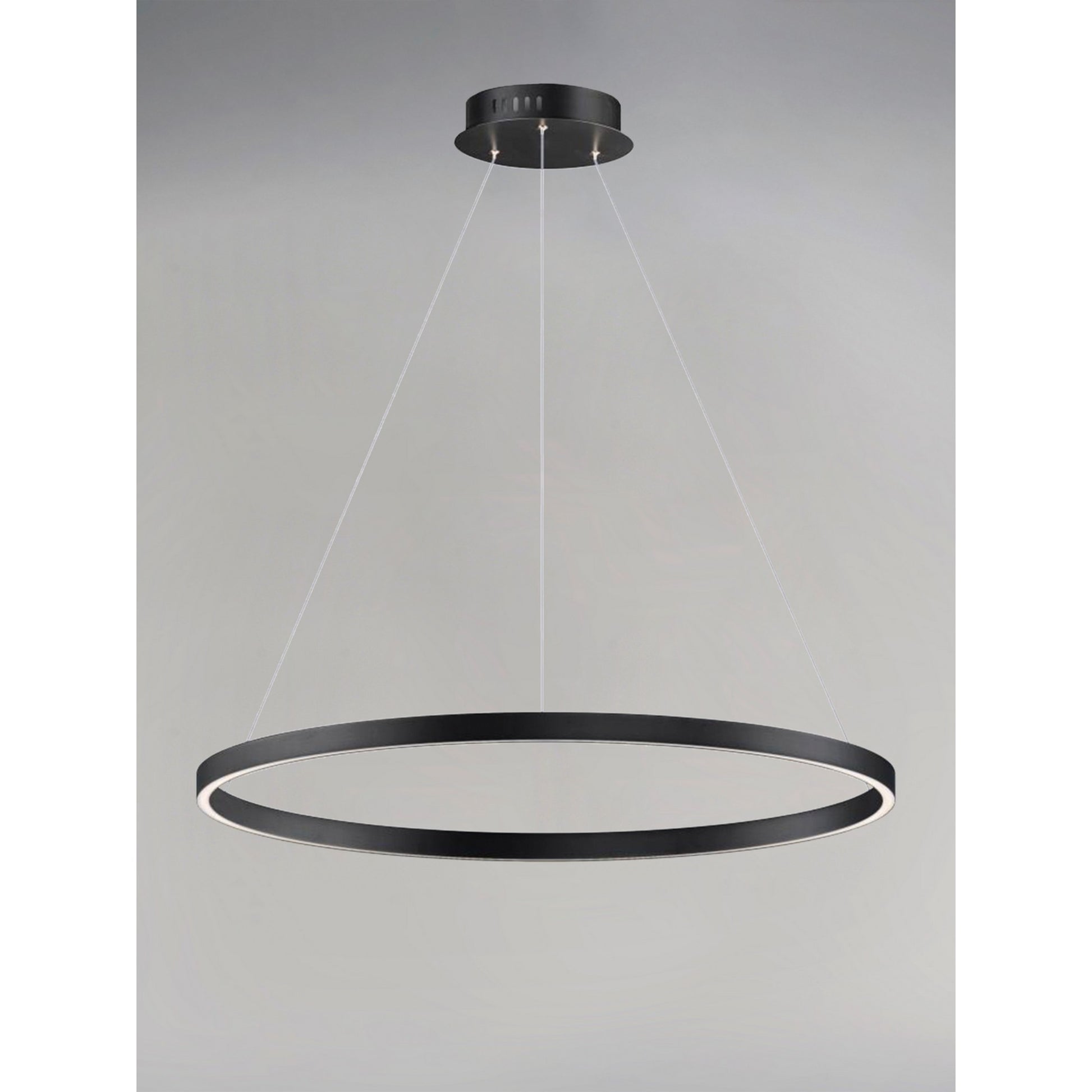Groove LED Pendant WiZ - Bees Lighting