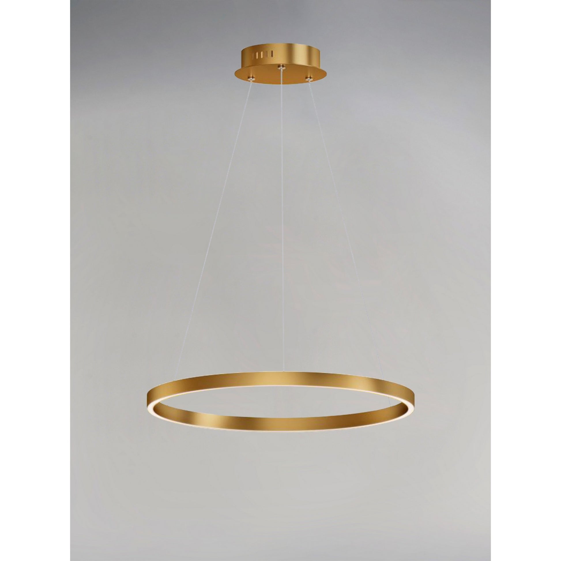 Groove LED Pendant WiZ - Bees Lighting