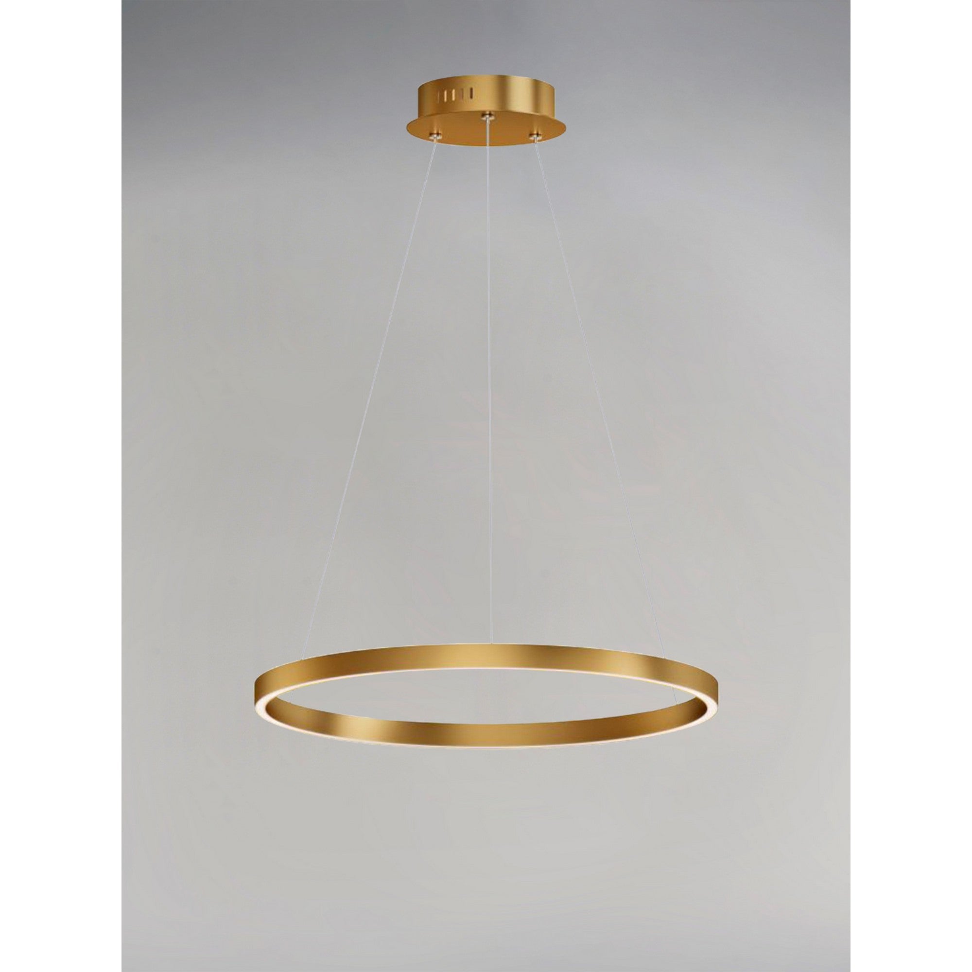 Groove LED Pendant WiZ - Bees Lighting