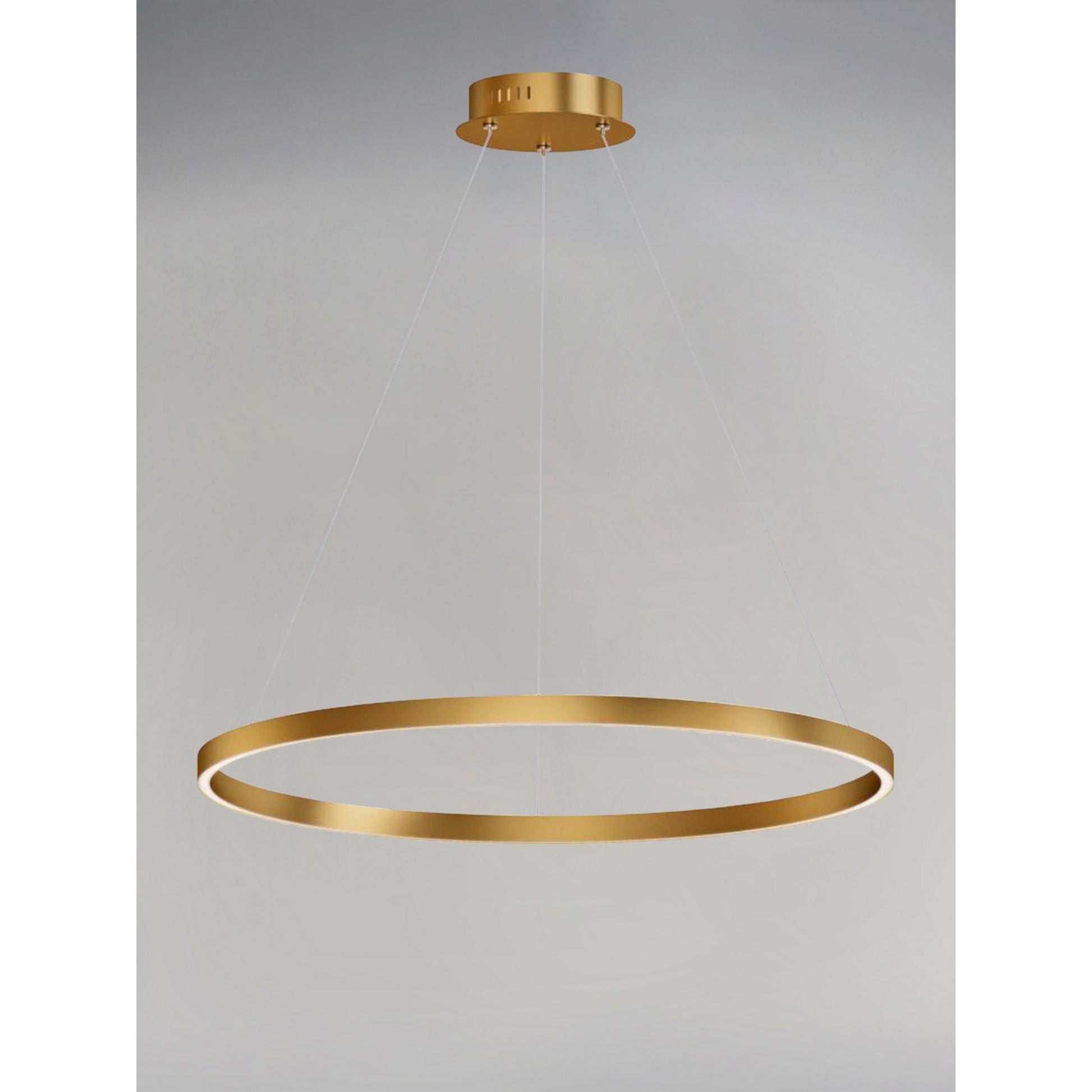 Groove LED Pendant WiZ - Bees Lighting