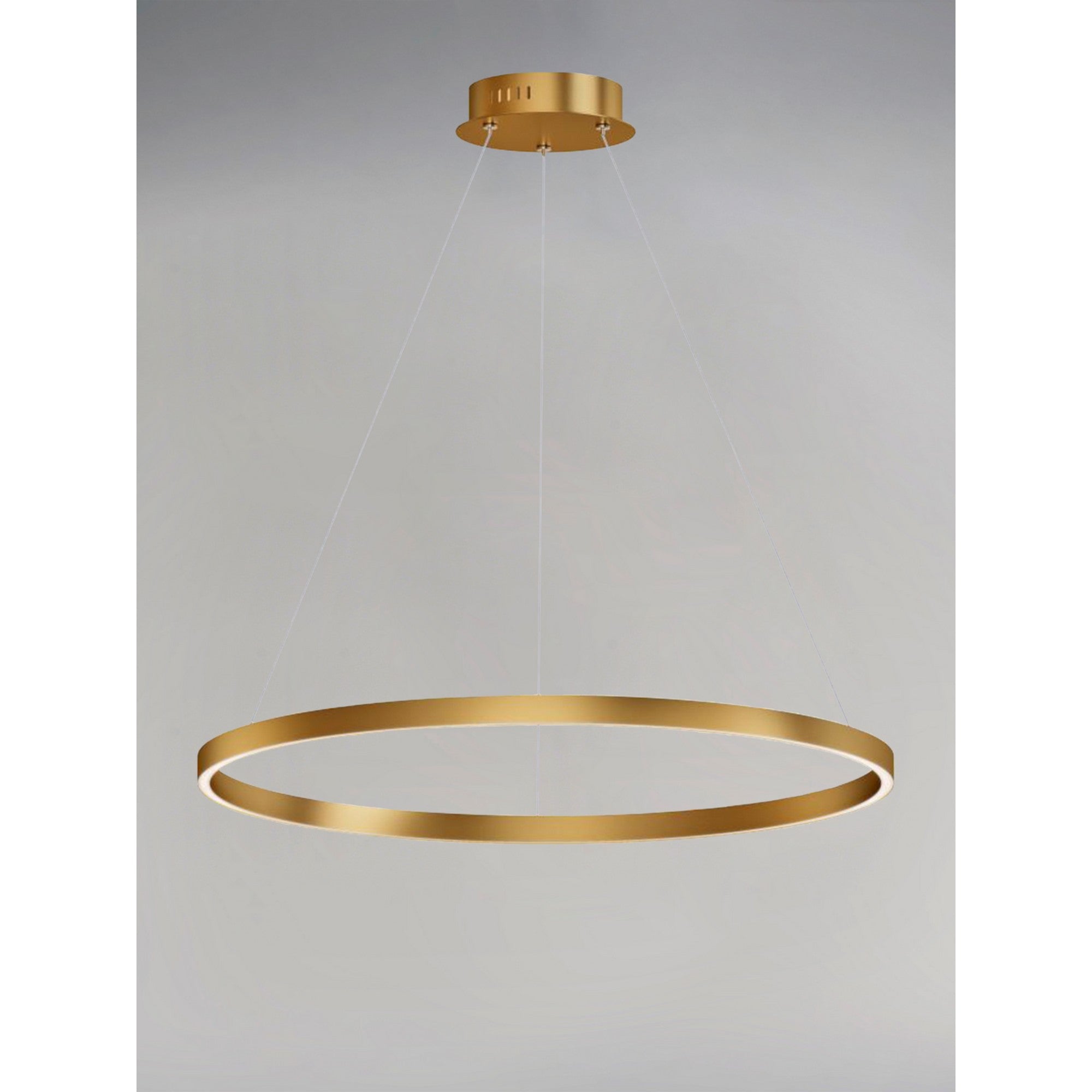Groove LED Pendant WiZ - Bees Lighting