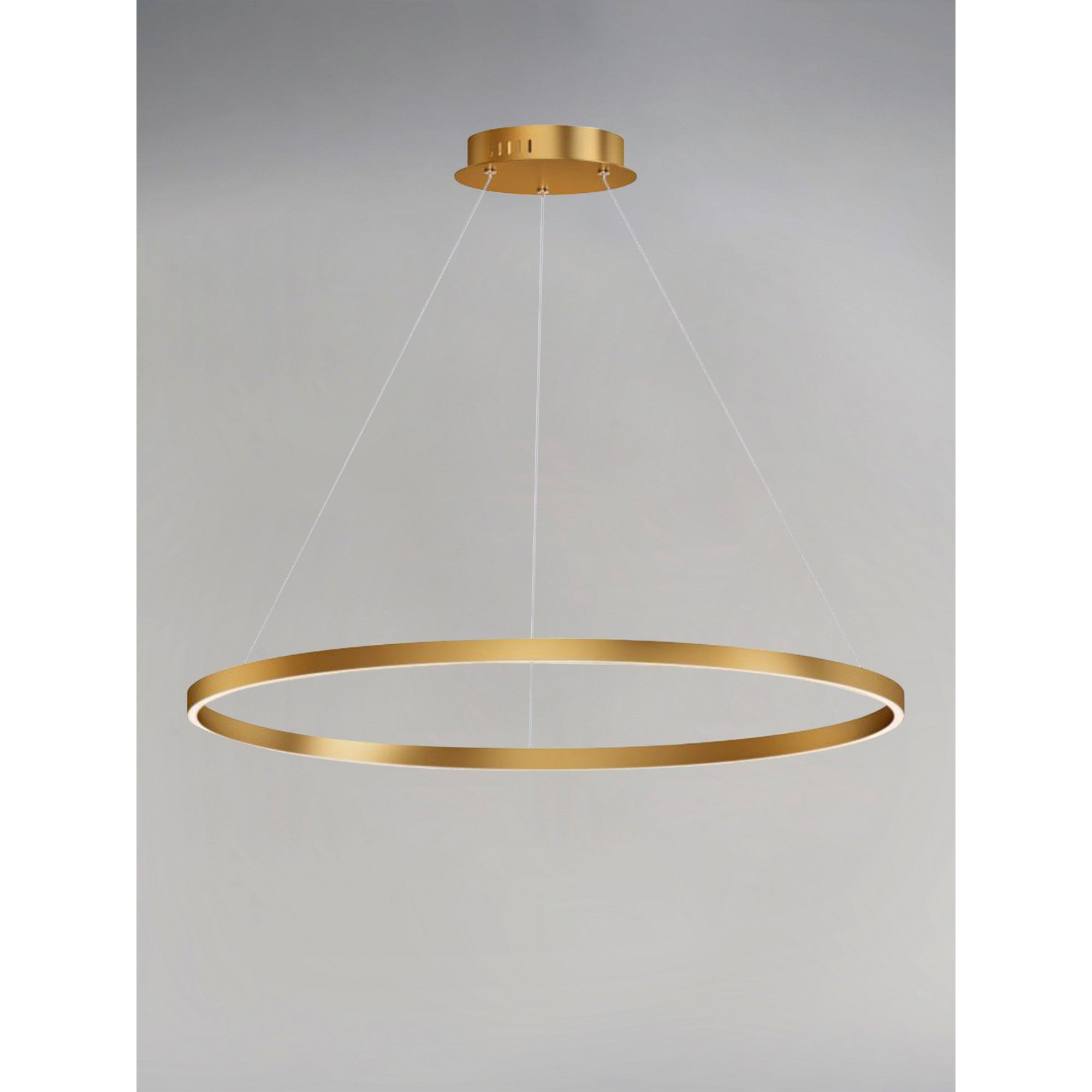 Groove LED Pendant WiZ - Bees Lighting