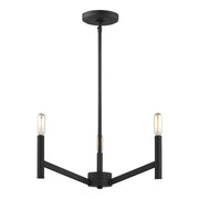 Vector 18" 3-Light Chandelier, Midnight Black Finish - Bees Lighting