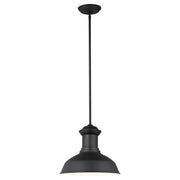 Fredricksburg 13" Outdoor Pendant, Black Finish - Bees Lighting