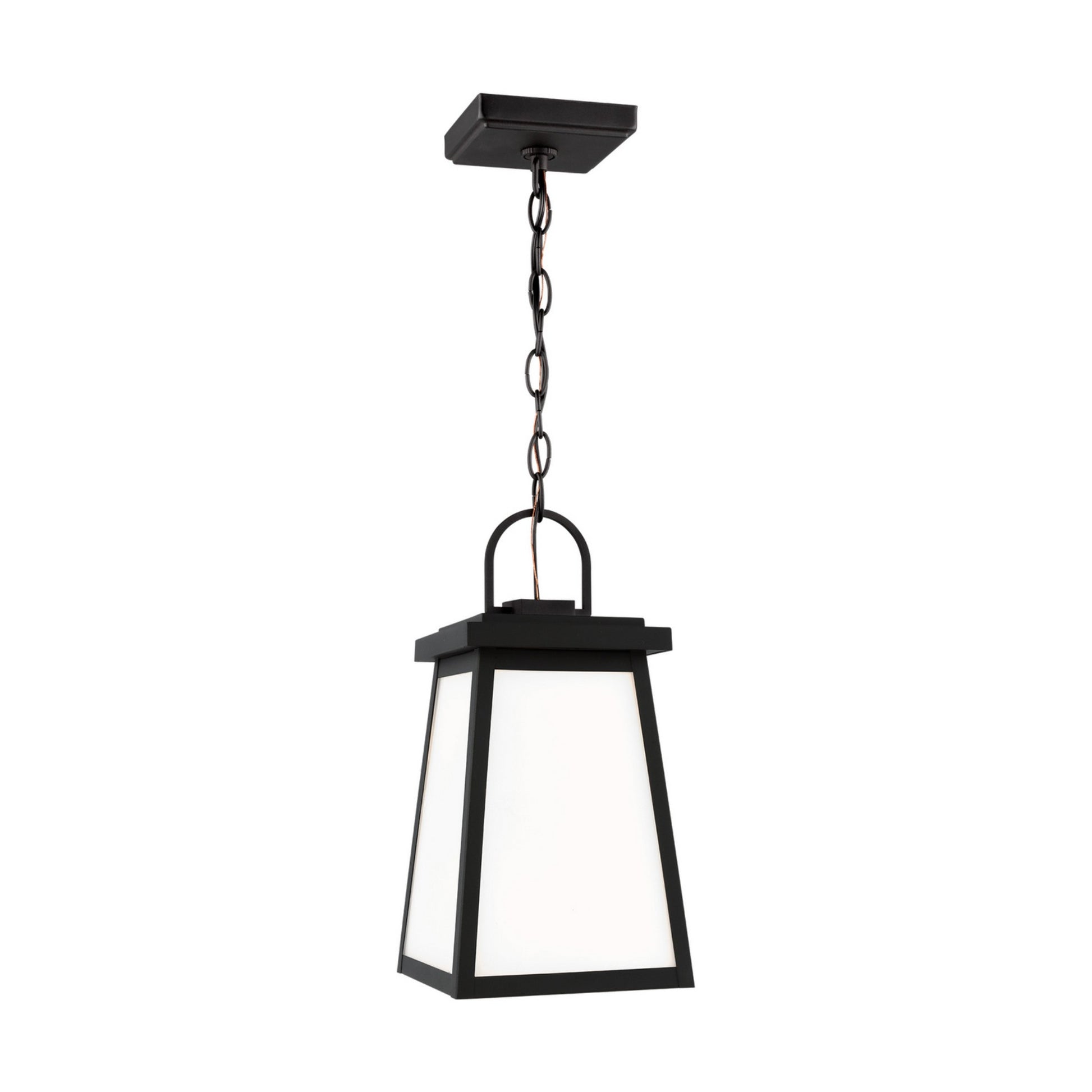 Founders 14" Outdoor Pendant, Black Finish - Bees Lighting