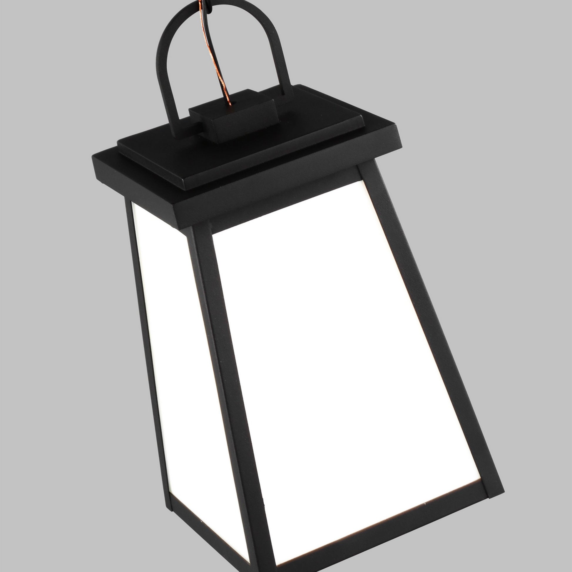 Founders 14" Outdoor Pendant, Black Finish - Bees Lighting