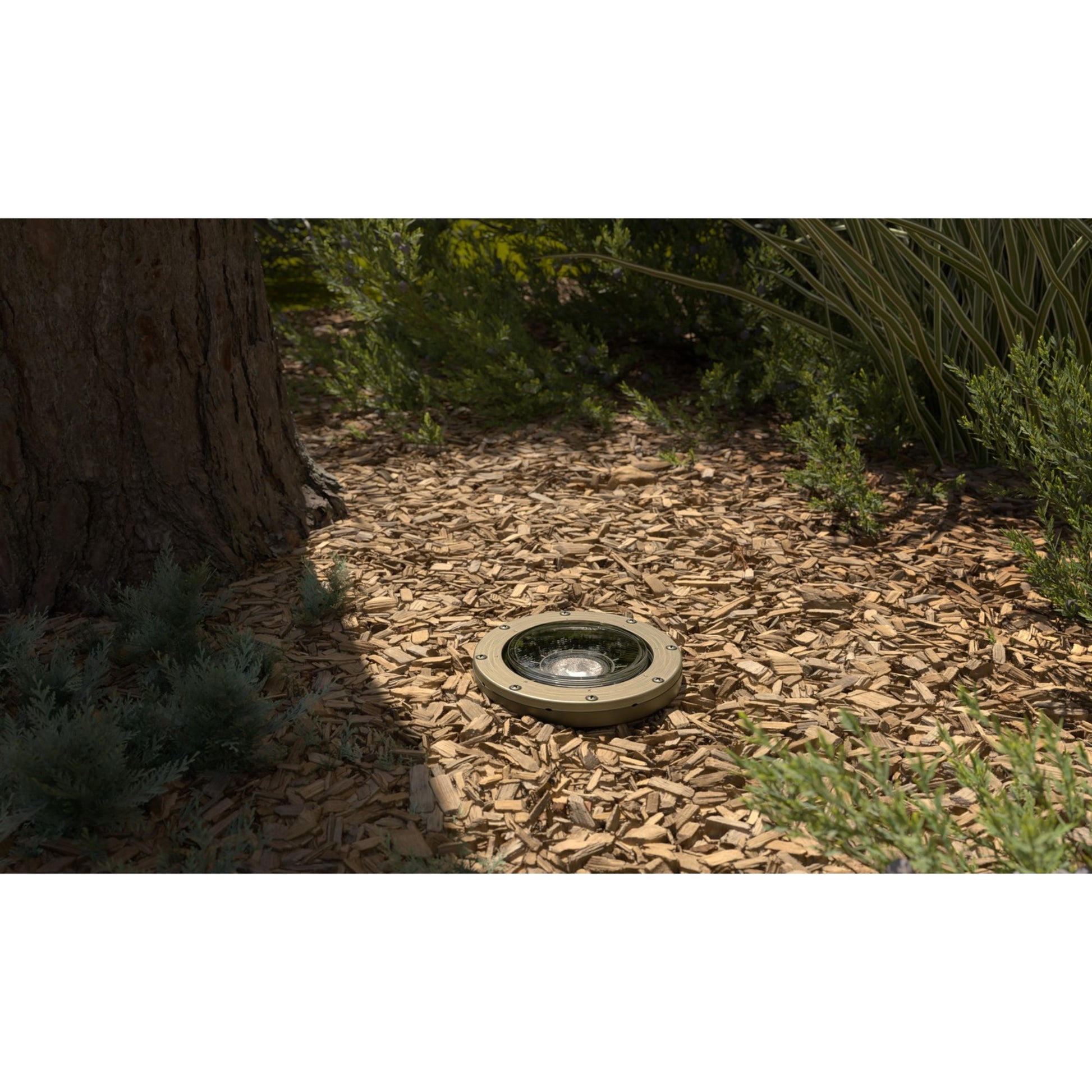 VLO LED In-Ground Landscape Light 15 Degree 2700K Centennial Brass - Bees Lighting
