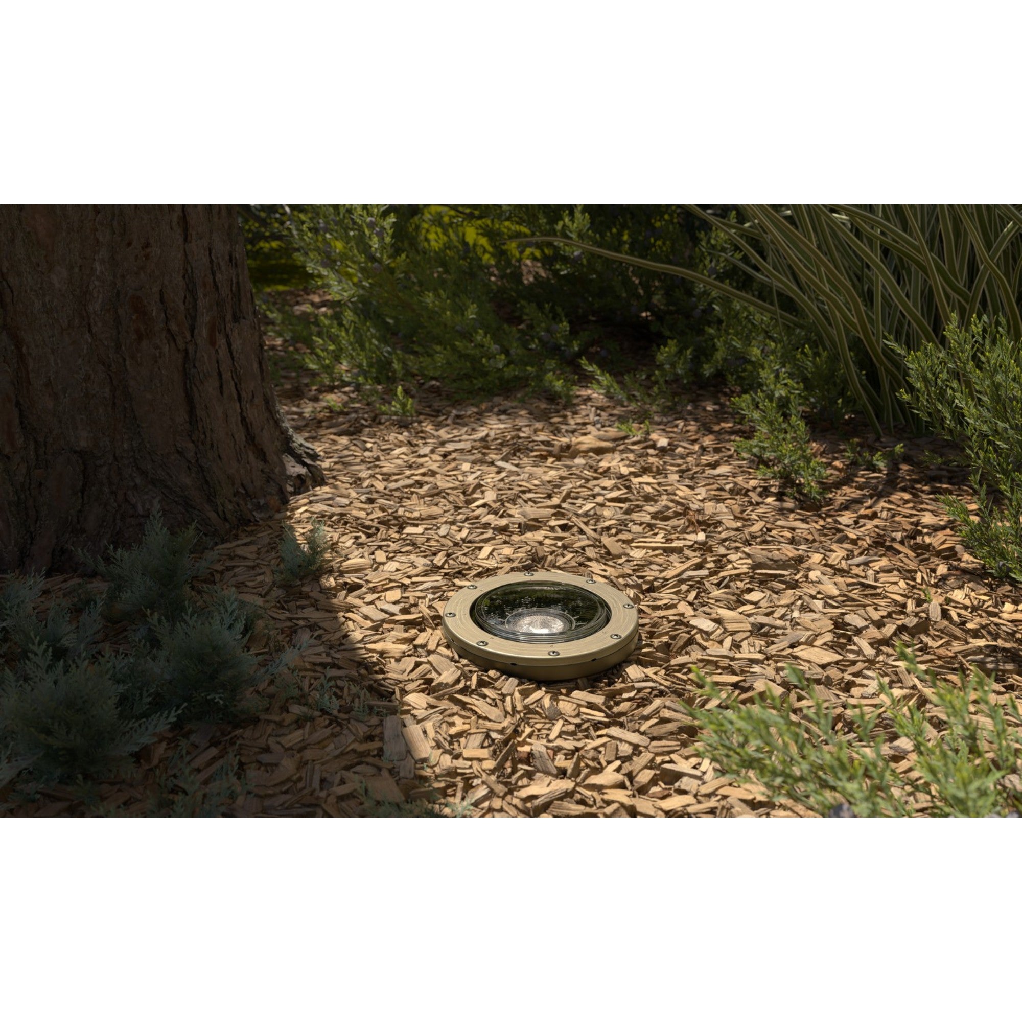 VLO LED In-Ground Landscape Light 15 Degree 2700K Centennial Brass - Bees Lighting