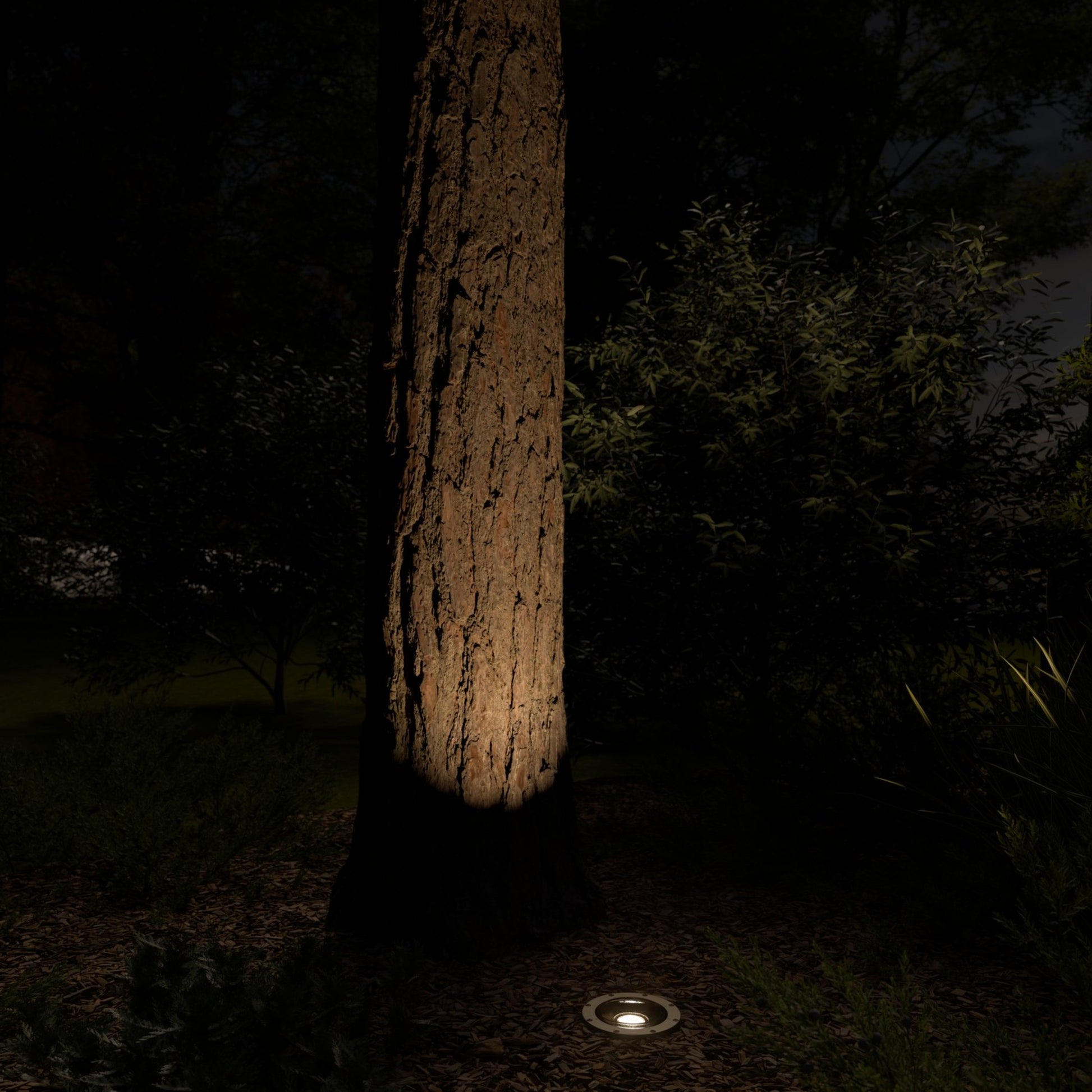 VLO LED In-Ground Landscape Light 15 Degree 2700K Centennial Brass - Bees Lighting