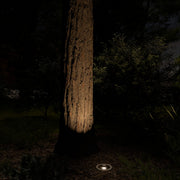 Kichler Lighting - 12V Landscape In-Ground Light Brass | Bees Lighting